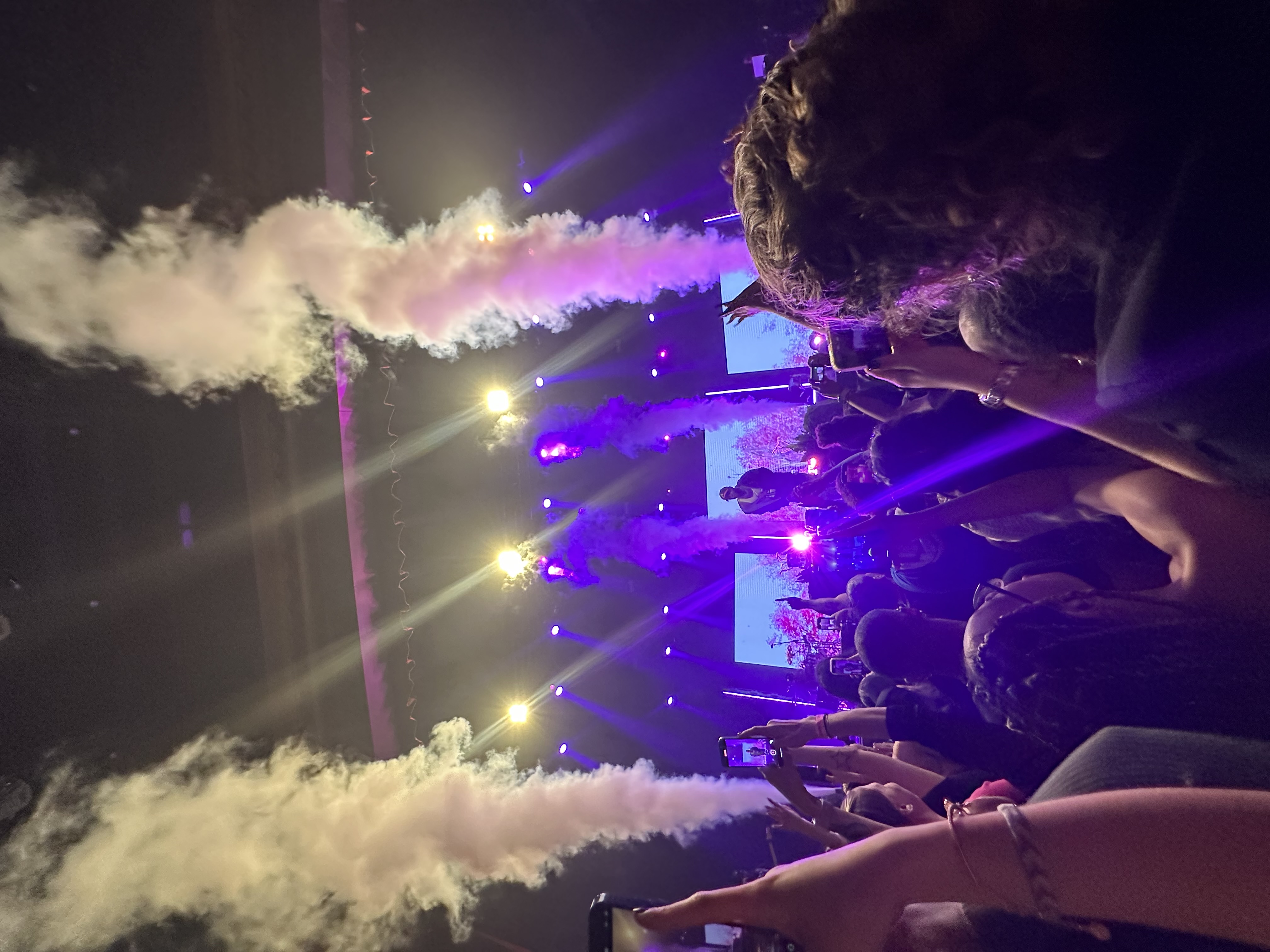 img 2903jpegjpg by Sophia Sanchez?width=698&height=466&fit=crop&auto=webp&dpr=4