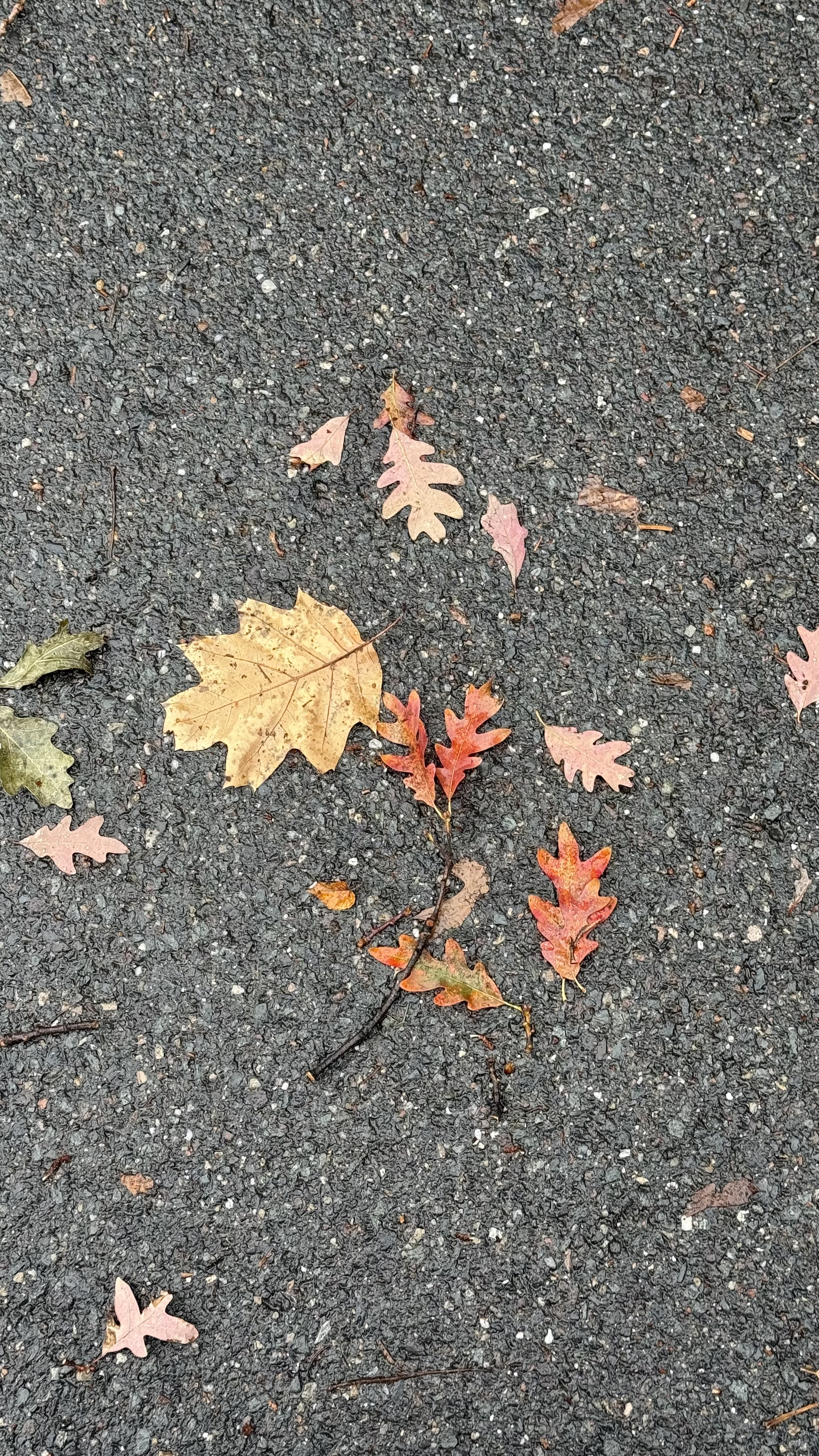 img 3409jpegjpg by Ashoita Sane?width=698&height=466&fit=crop&auto=webp&dpr=4