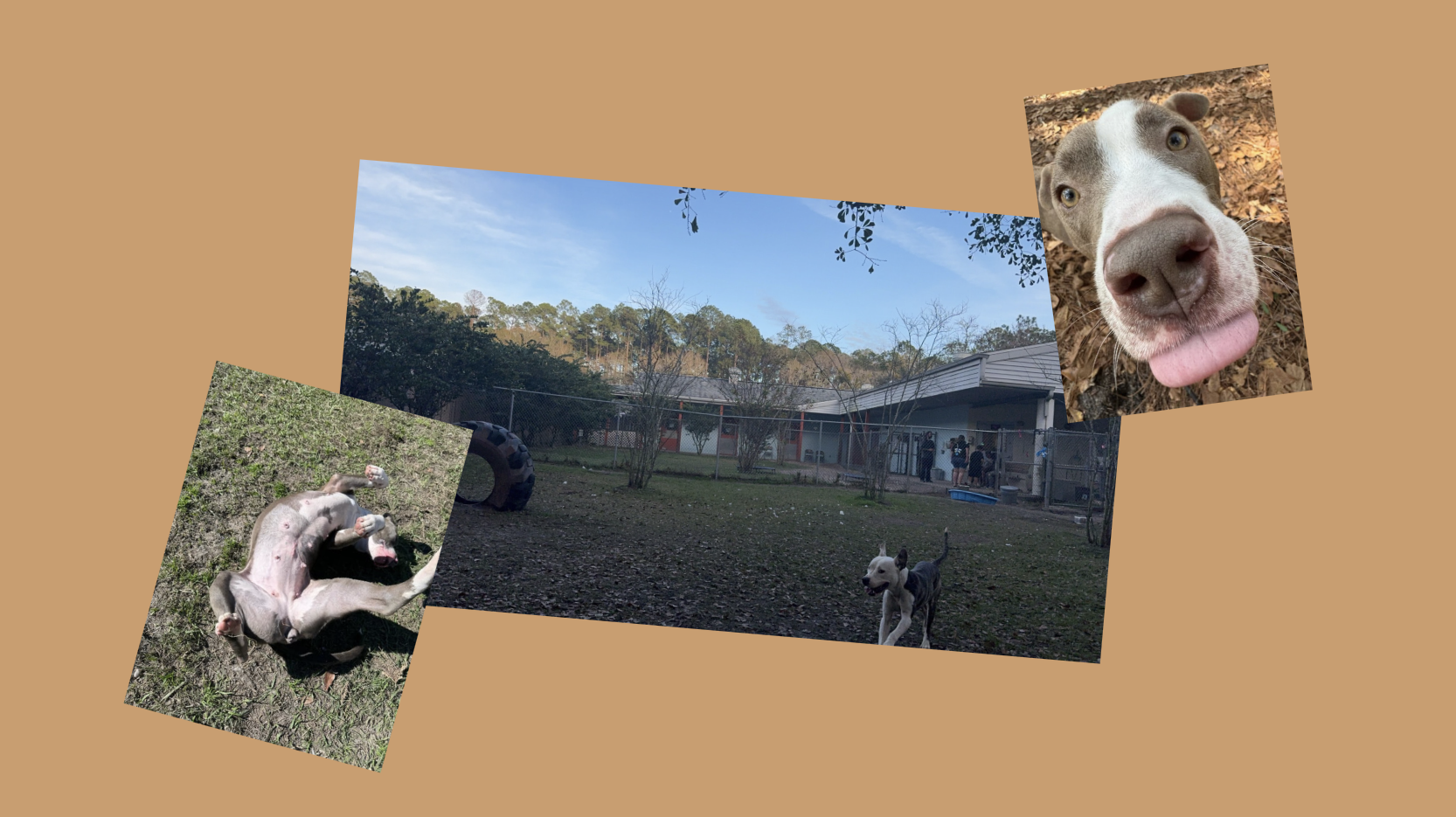 screenshot 20240131 at 103404pmpng by Natasha Rattray?width=698&height=466&fit=crop&auto=webp&dpr=4