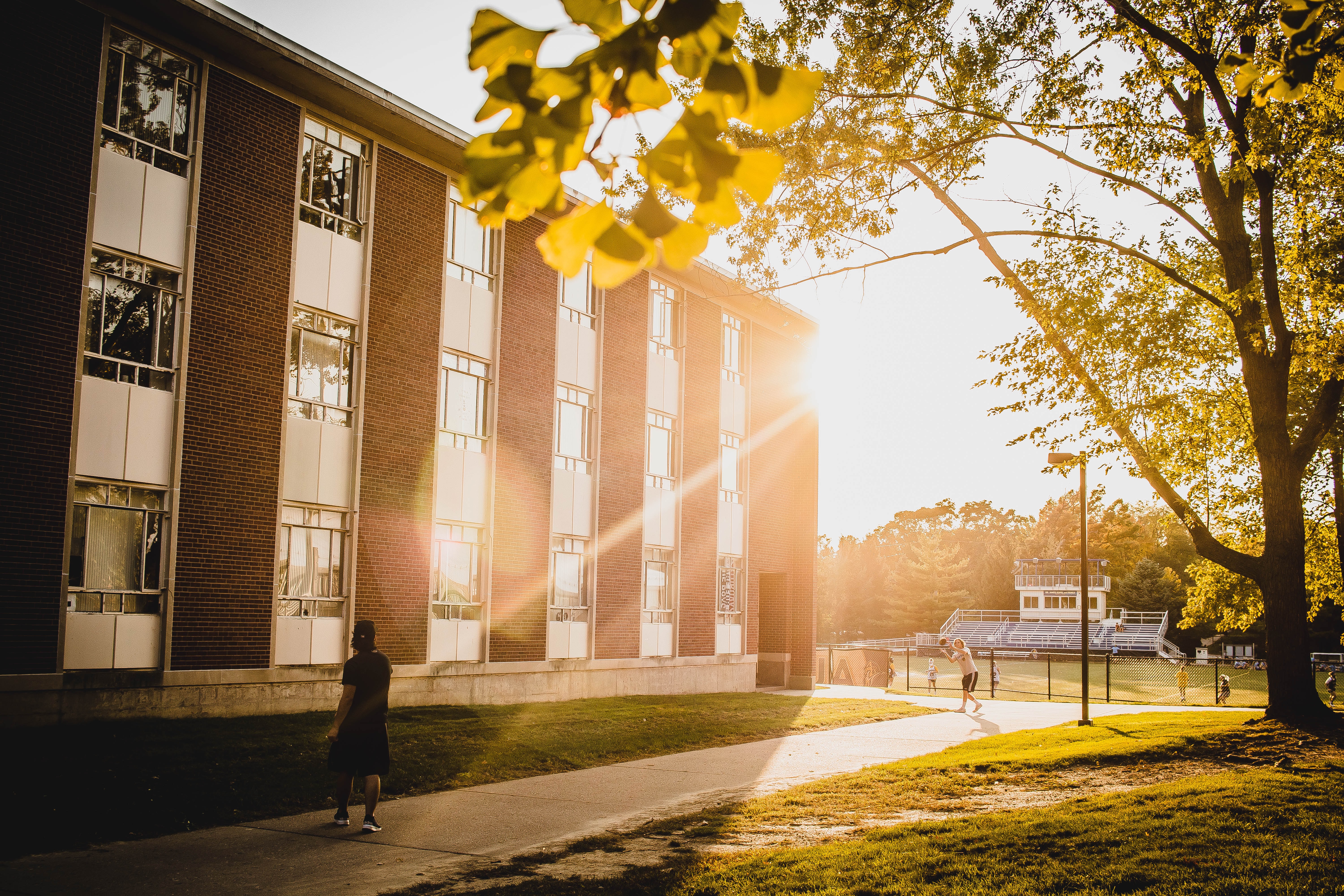 sun shining on a college campus