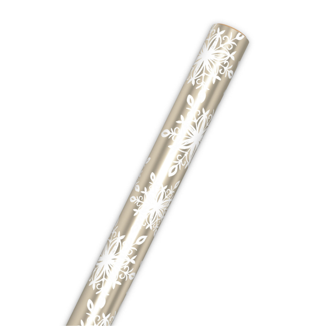 2?width=1024&height=1024&fit=cover&auto=webp&dpr=4