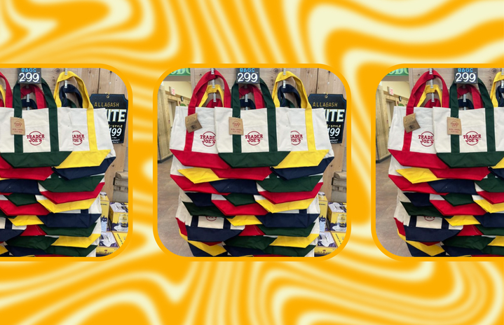 trader joes mini tote bag?width=719&height=464&fit=crop&auto=webp