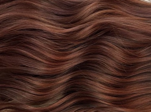 img 0081jpegjpg by Ginamarie Second?width=698&height=466&fit=crop&auto=webp&dpr=4