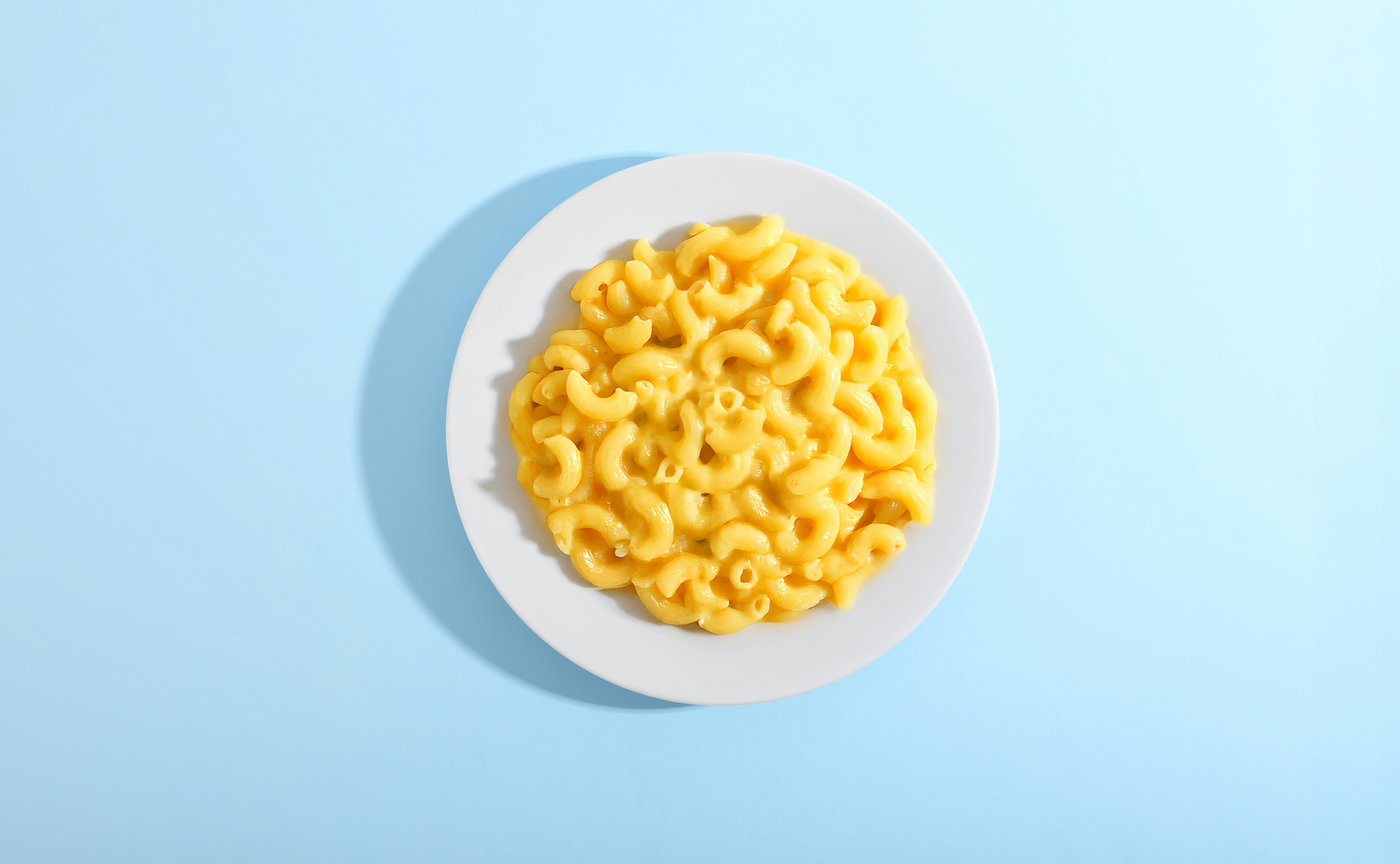 Unsplash photo 1?width=1024&height=1024&fit=cover&auto=webp&dpr=4