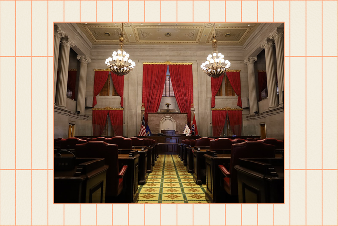tennessee house of representatives?width=698&height=466&fit=crop&auto=webp