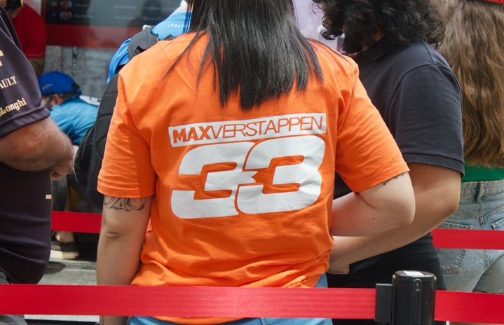 person wearing an orange shirt with \"max verstappen\" on the back