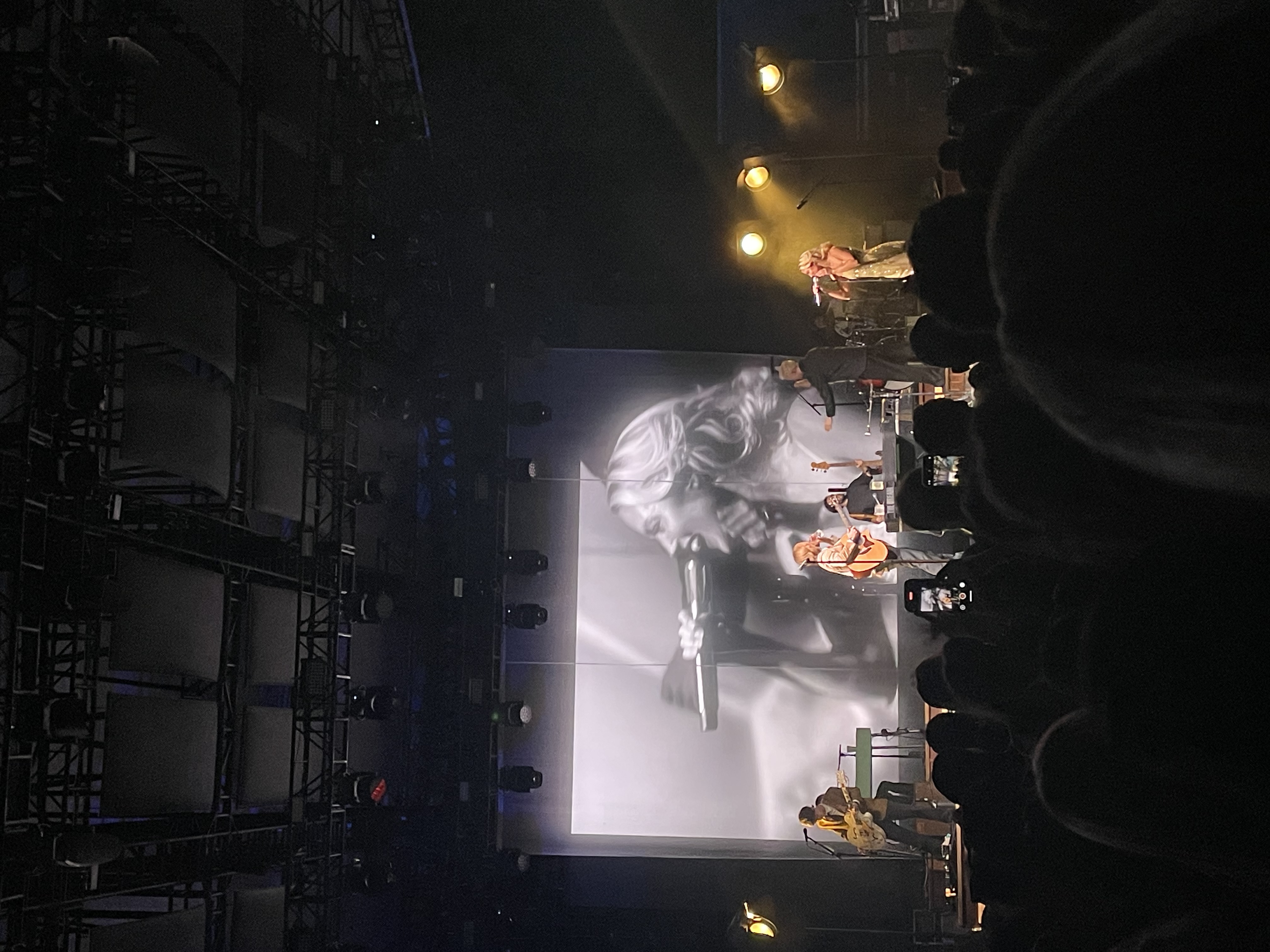 Concert Photo of The Favors