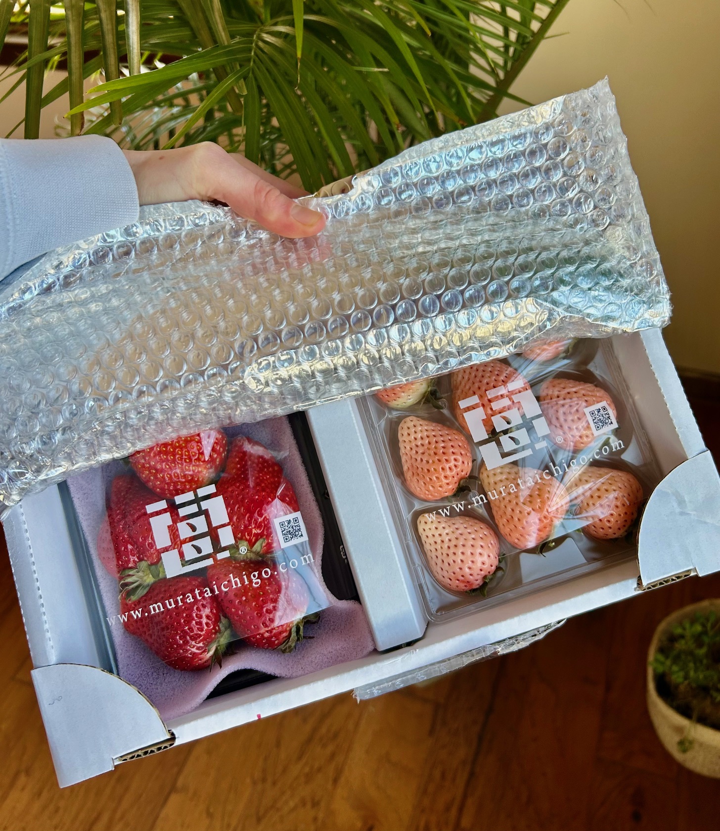 erewhon strawberry review 2025