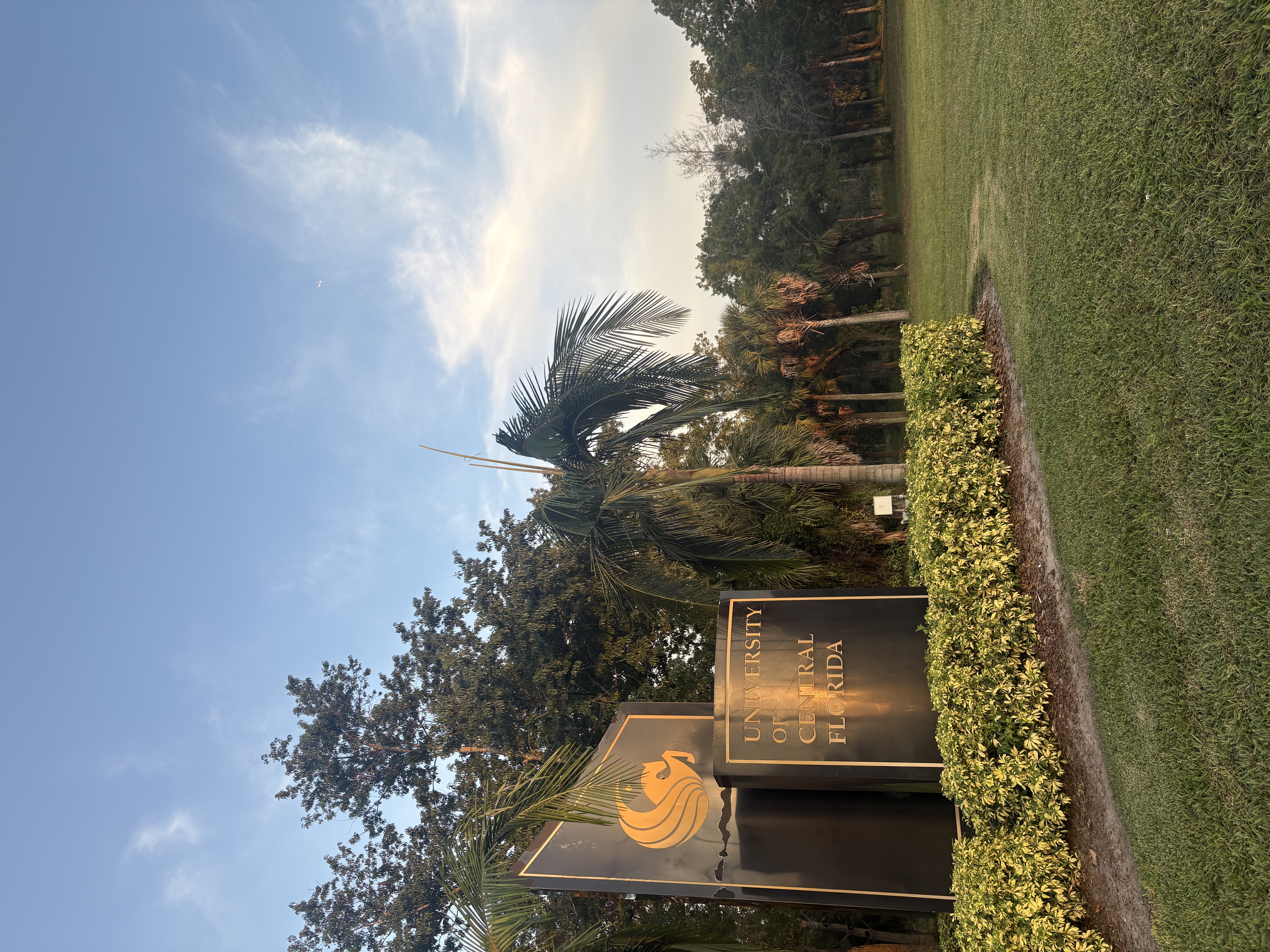 img 9215jpegjpg by Eva Liguori?width=698&height=466&fit=crop&auto=webp&dpr=4