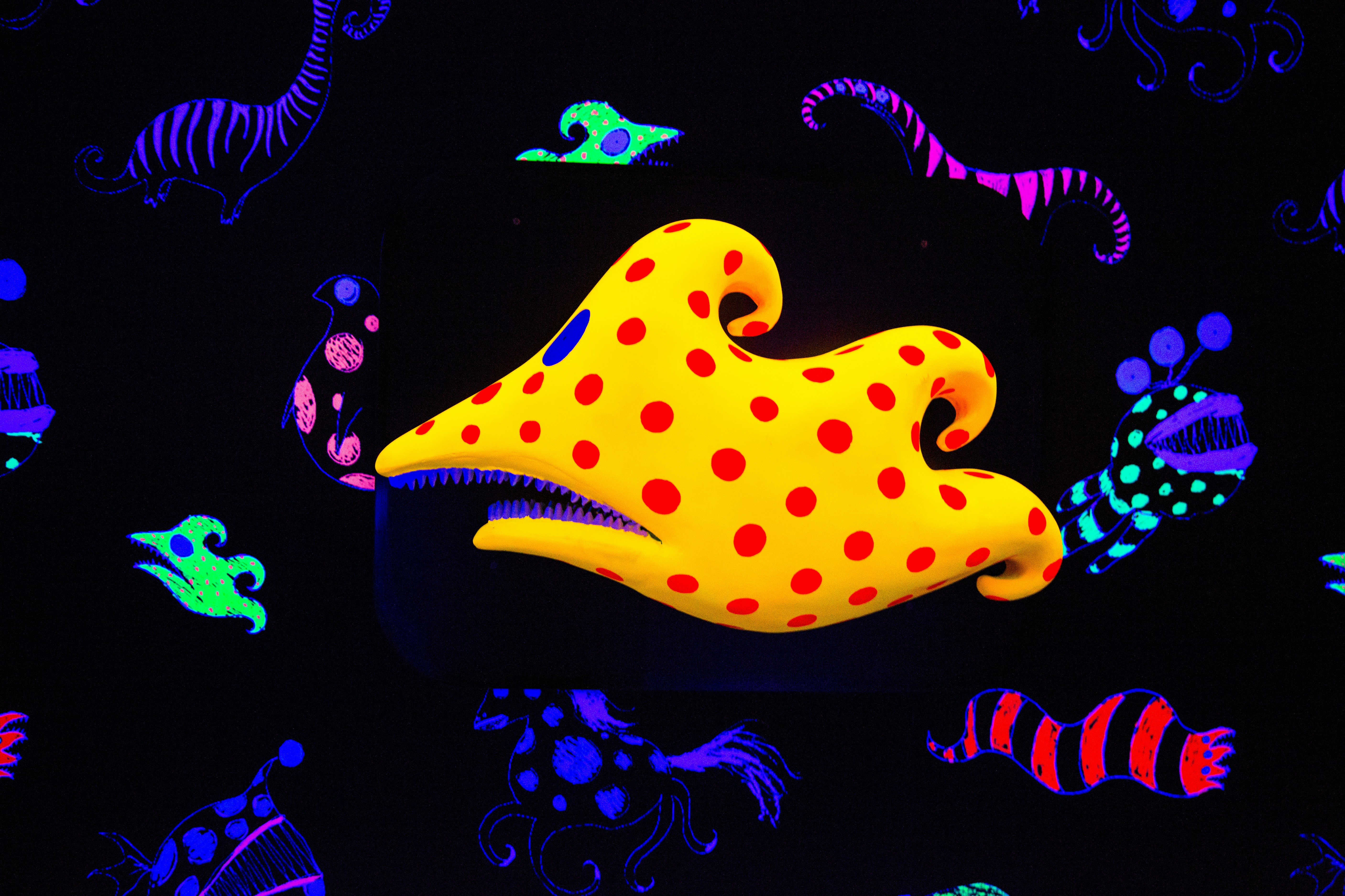 timburtonjpg by Zhifei Zhou?width=698&height=466&fit=crop&auto=webp&dpr=4