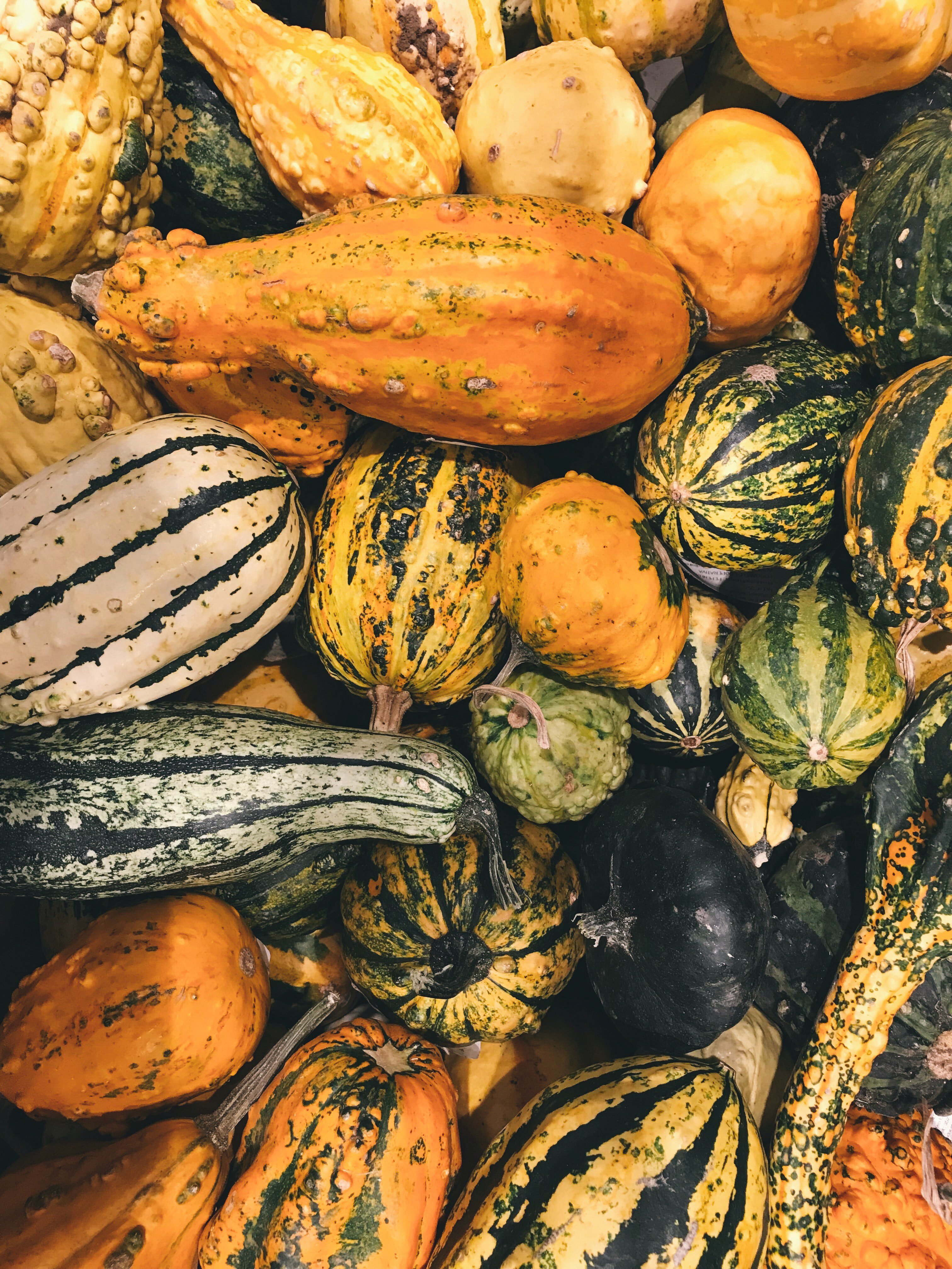 variety of gourds by Brigitte Tohm