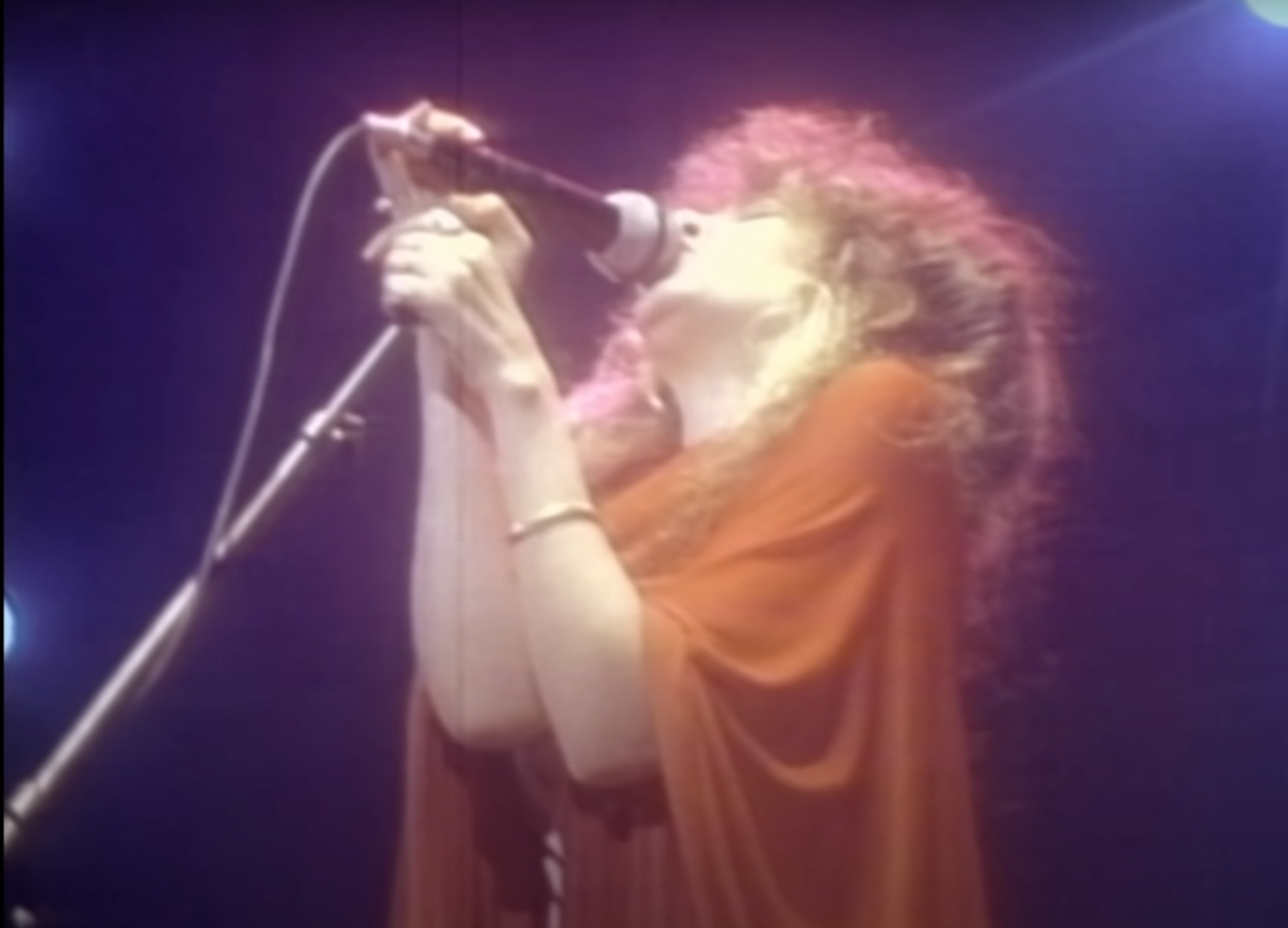 Stevie Nicks performing \