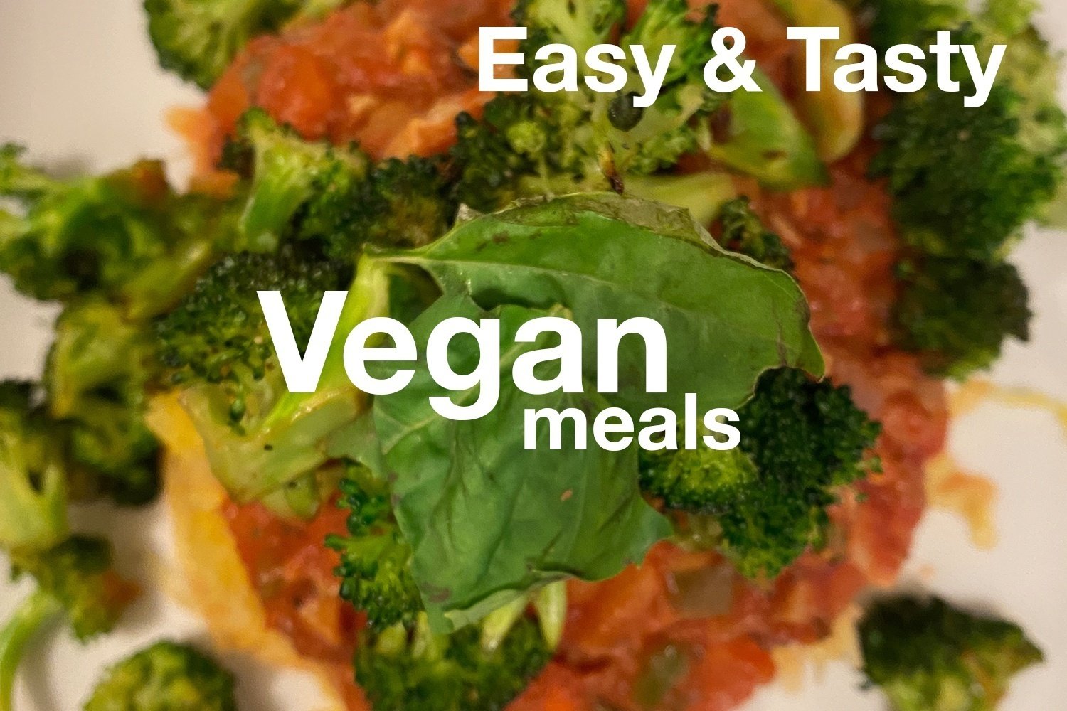 vegan recipe heropng by Brianne Petrone?width=698&height=466&fit=crop&auto=webp&dpr=4