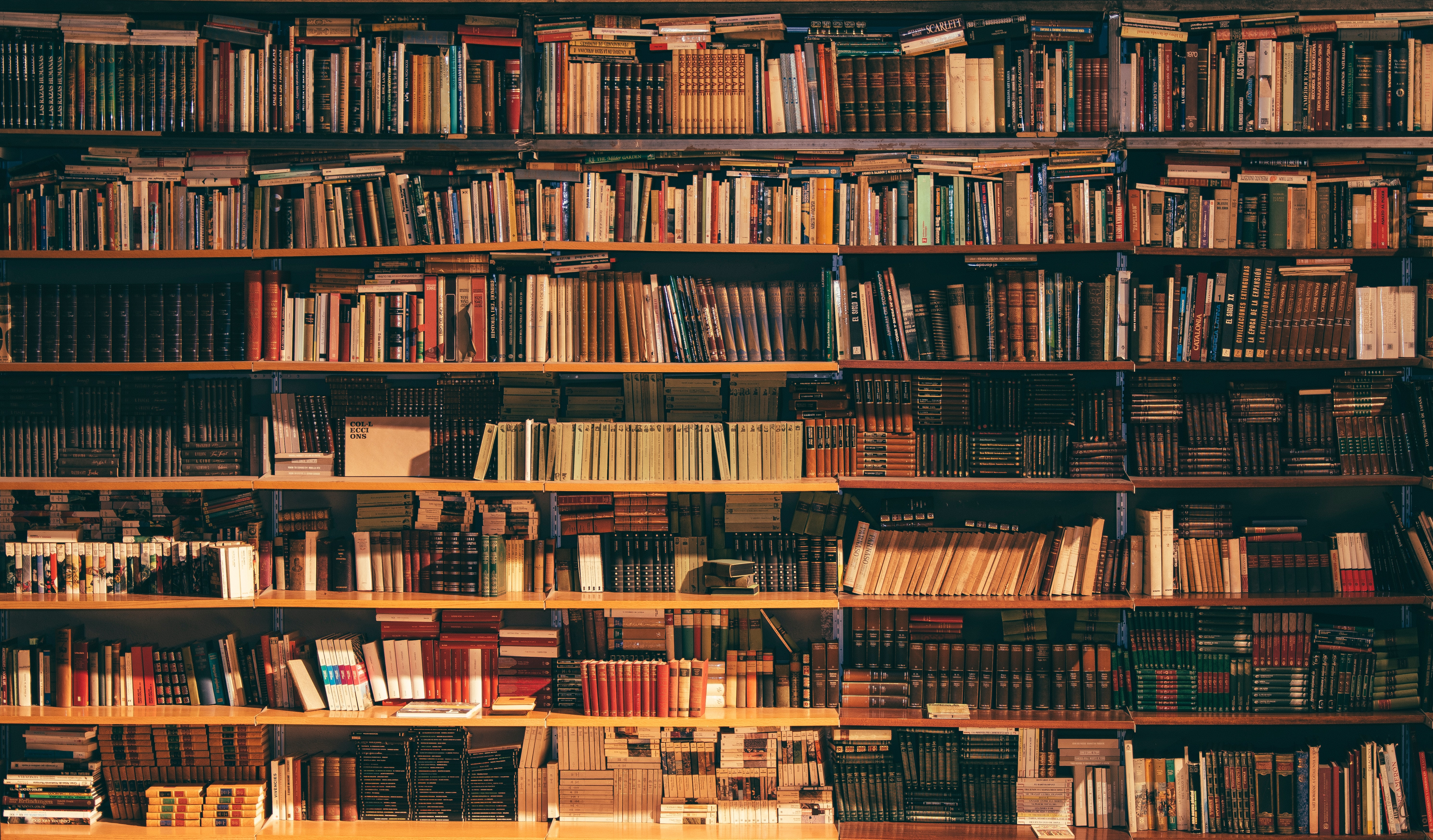 filled bookshelf by Alfons Morales via Unsplash?width=698&height=466&fit=crop&auto=webp&dpr=4