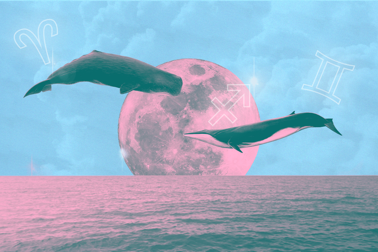 Signs Of The Times?width=1280&height=854&fit=crop&auto=webp&dpr=4