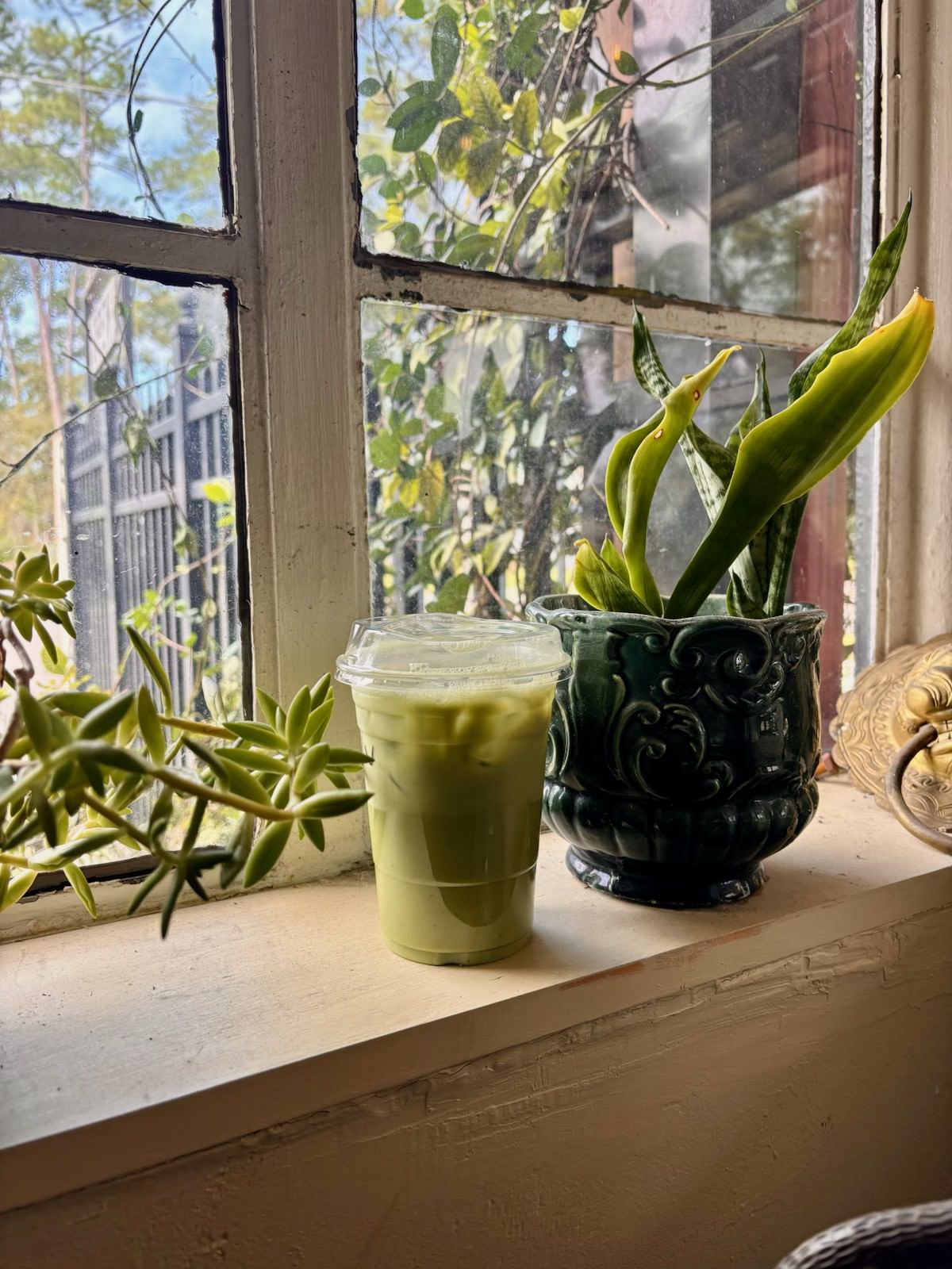 matcha on window sill