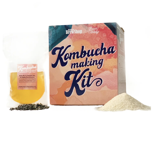 kombucha kit