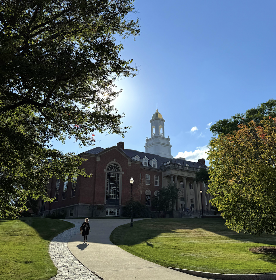 Wilbur Cross building surrounded by trees