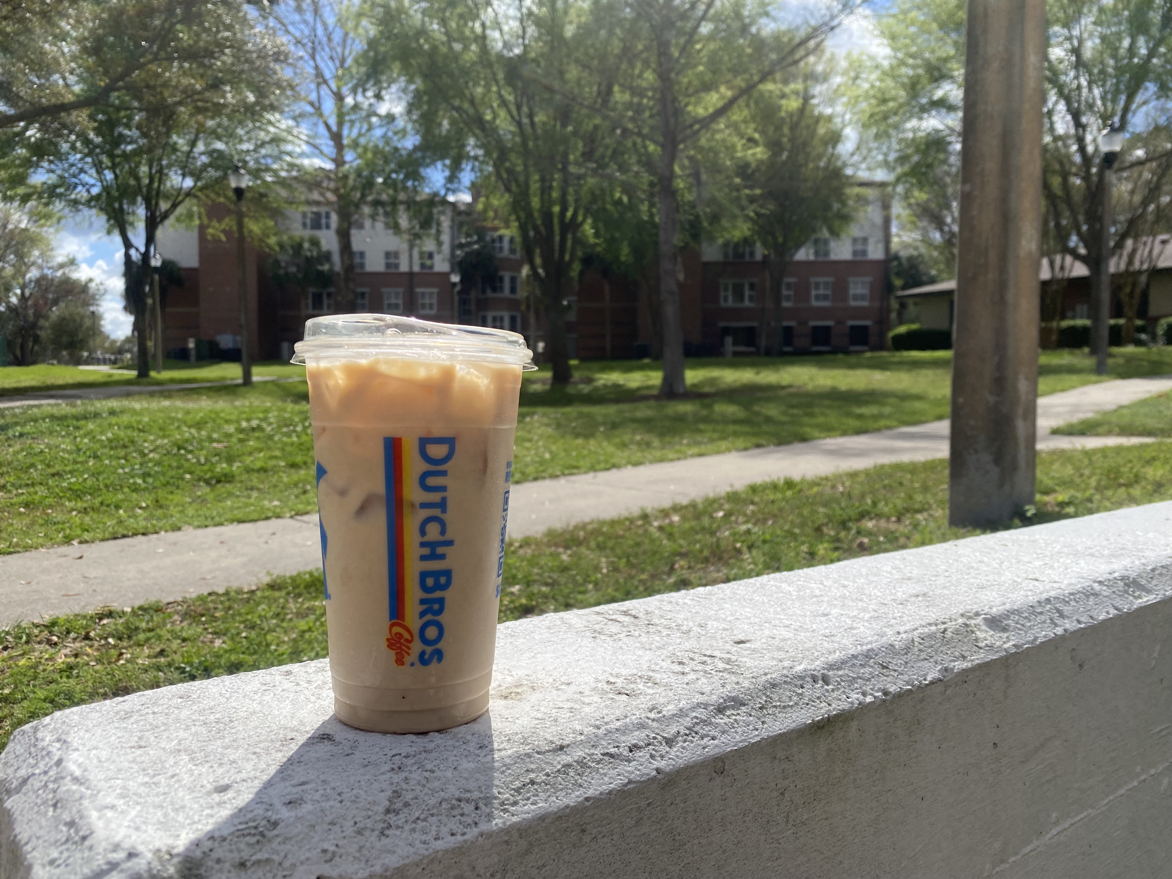 Dutch Bros Protein Coffee
