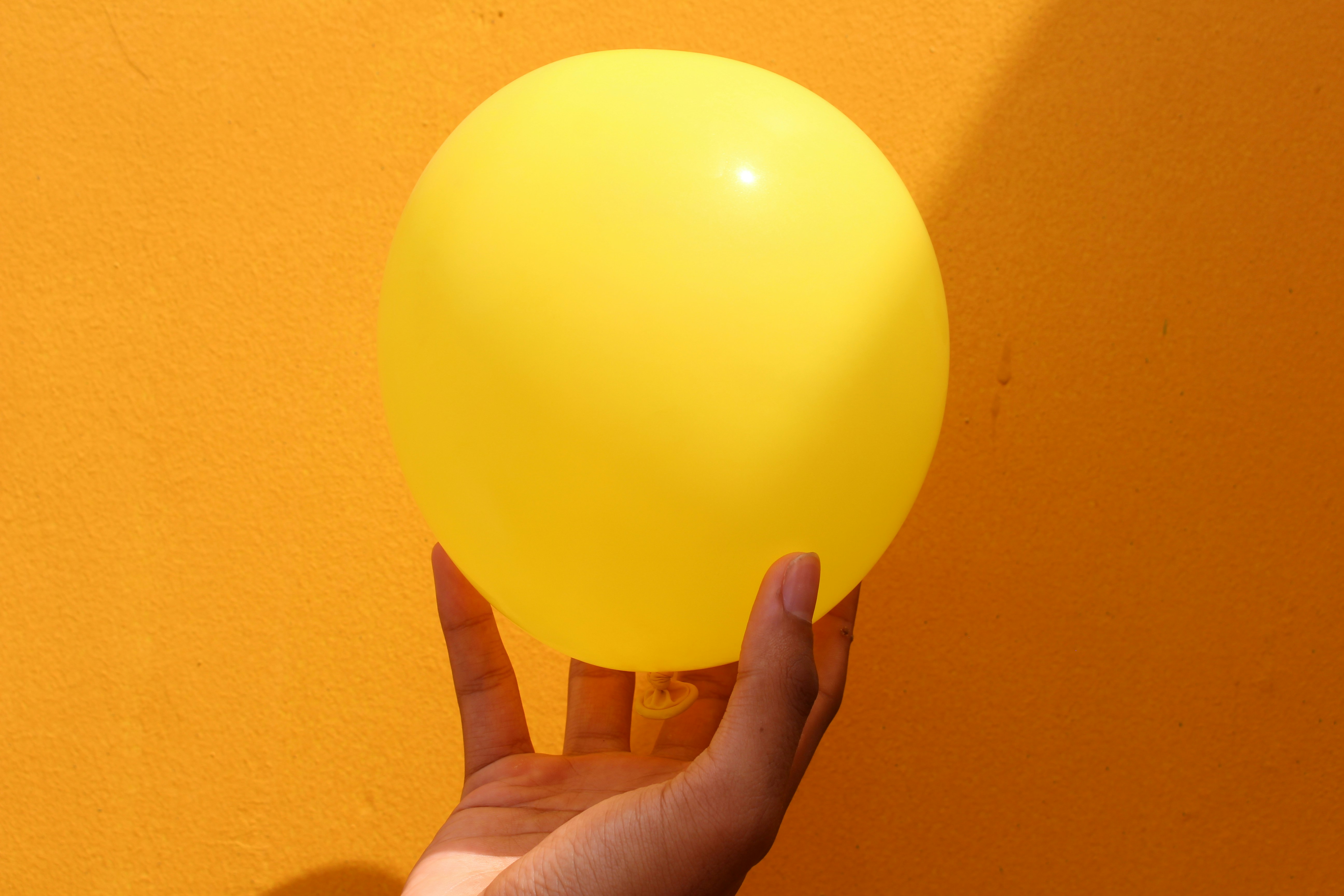 sadamanwarqj0bfw1oqbqunsplashjpg by Sadam Anwar?width=698&height=466&fit=crop&auto=webp&dpr=4