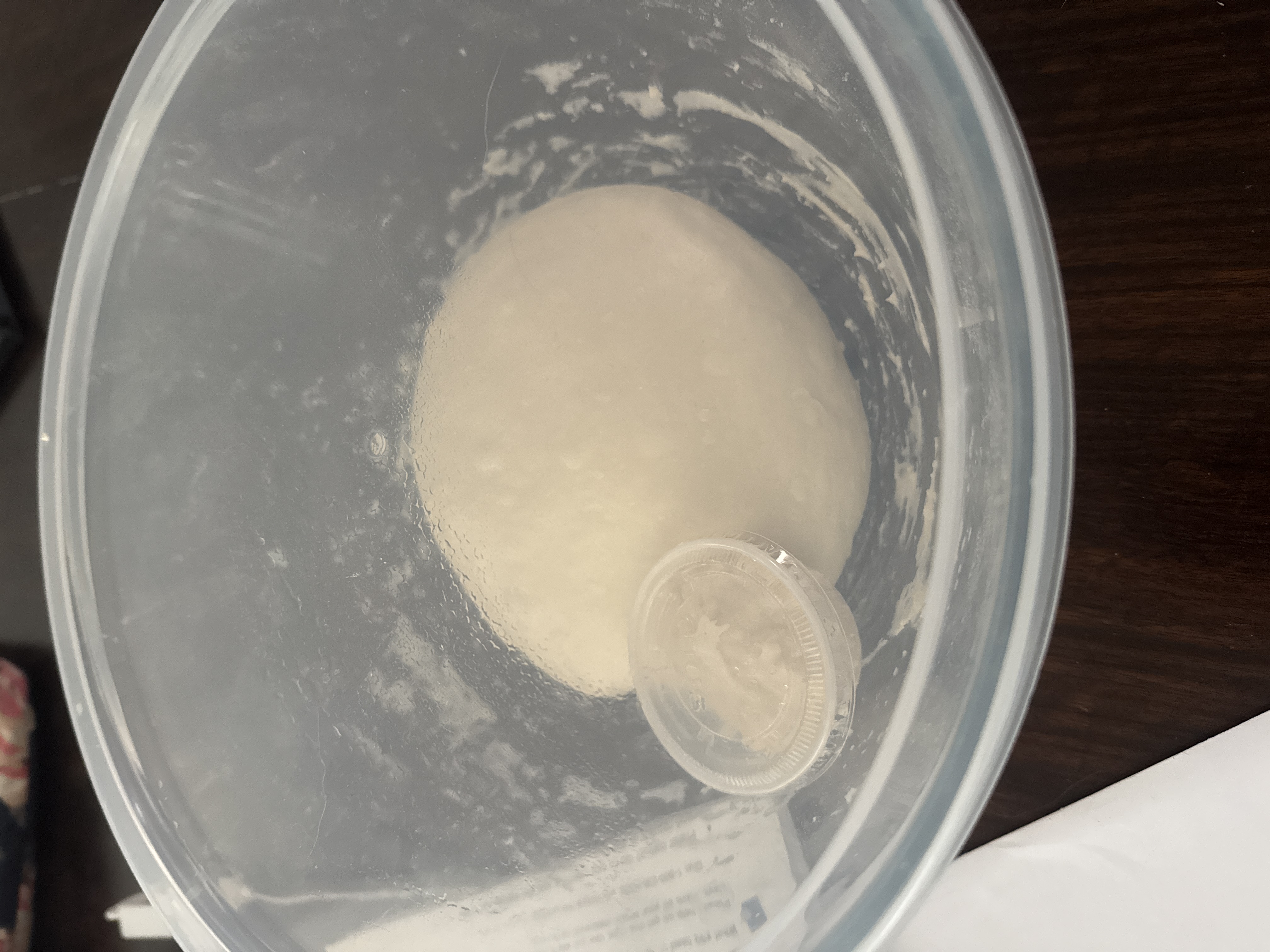 Sourdough Bread