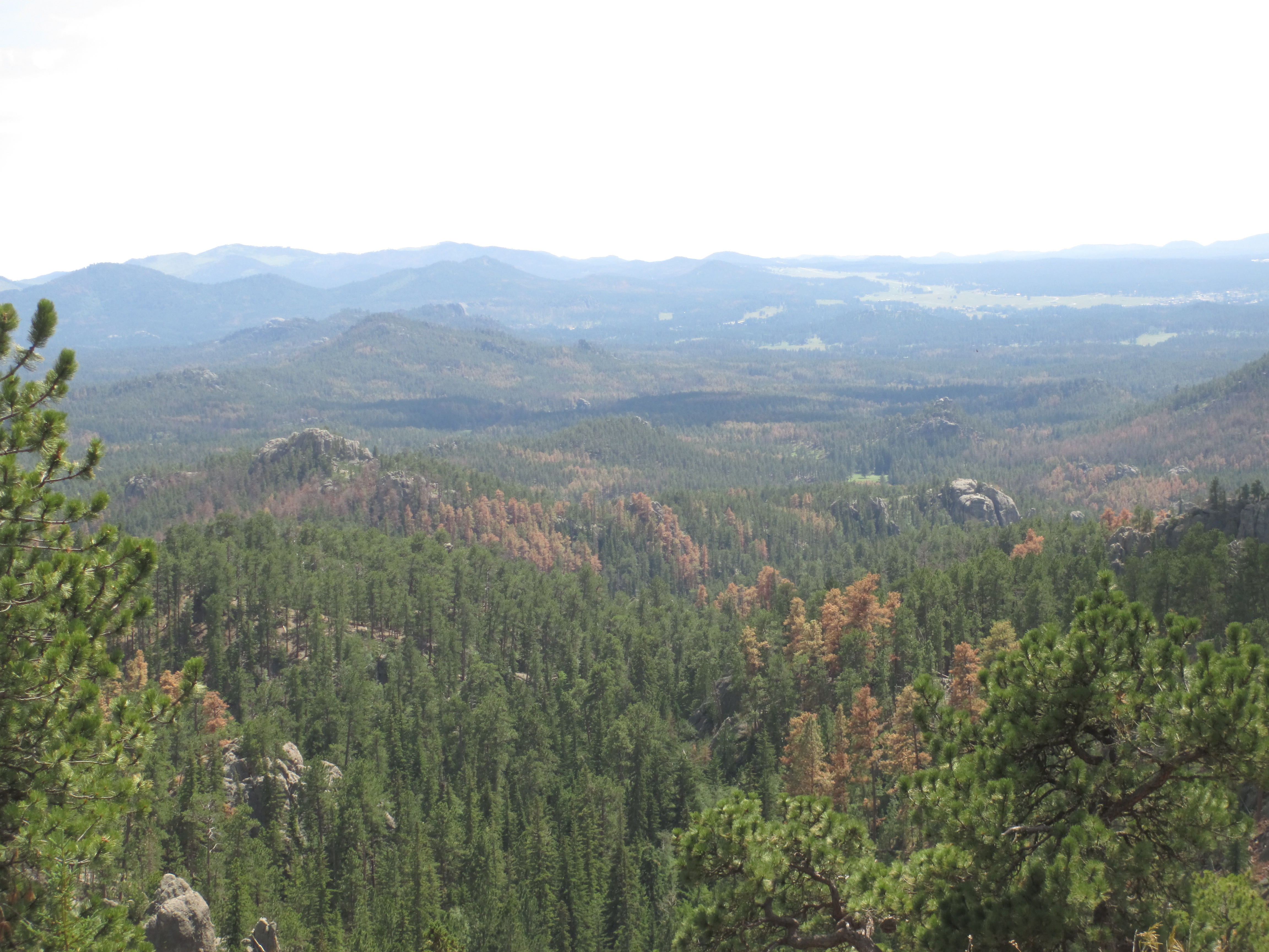 img 1675jpg by Lynn Merigold?width=698&height=466&fit=crop&auto=webp&dpr=4