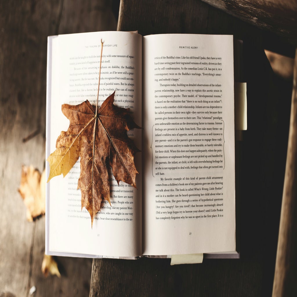 Open book with a fall leaf covering the left page.