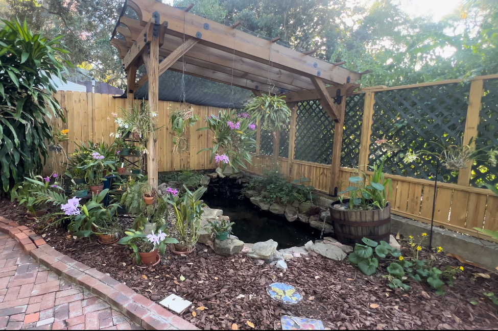 USF Botanical Gardens Orchid Garden