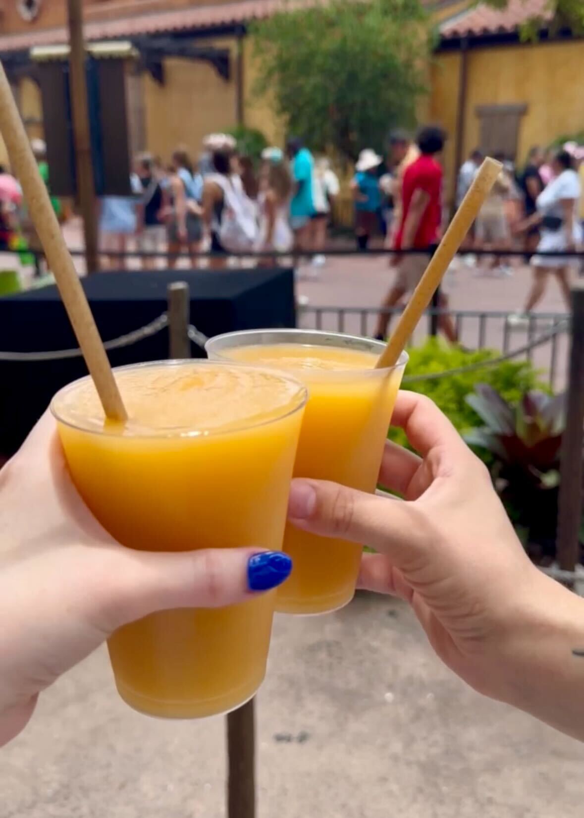 img 9826?width=1024&height=1024&fit=cover&auto=webp&dpr=4