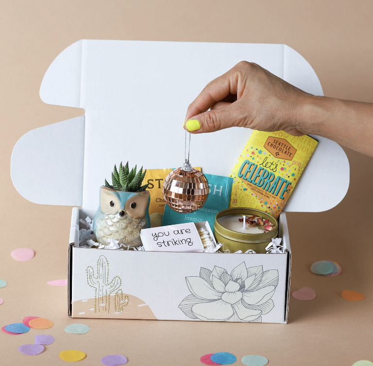 succulent care package?width=500&height=500&fit=cover&auto=webp&dpr=4