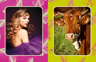 taylor swift\'s speak now (taylor\'s version) album cover and a cow