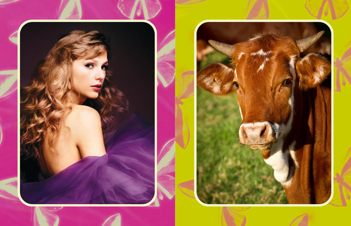 rhyme without reason taylor swift?width=719&height=464&fit=crop&auto=webp