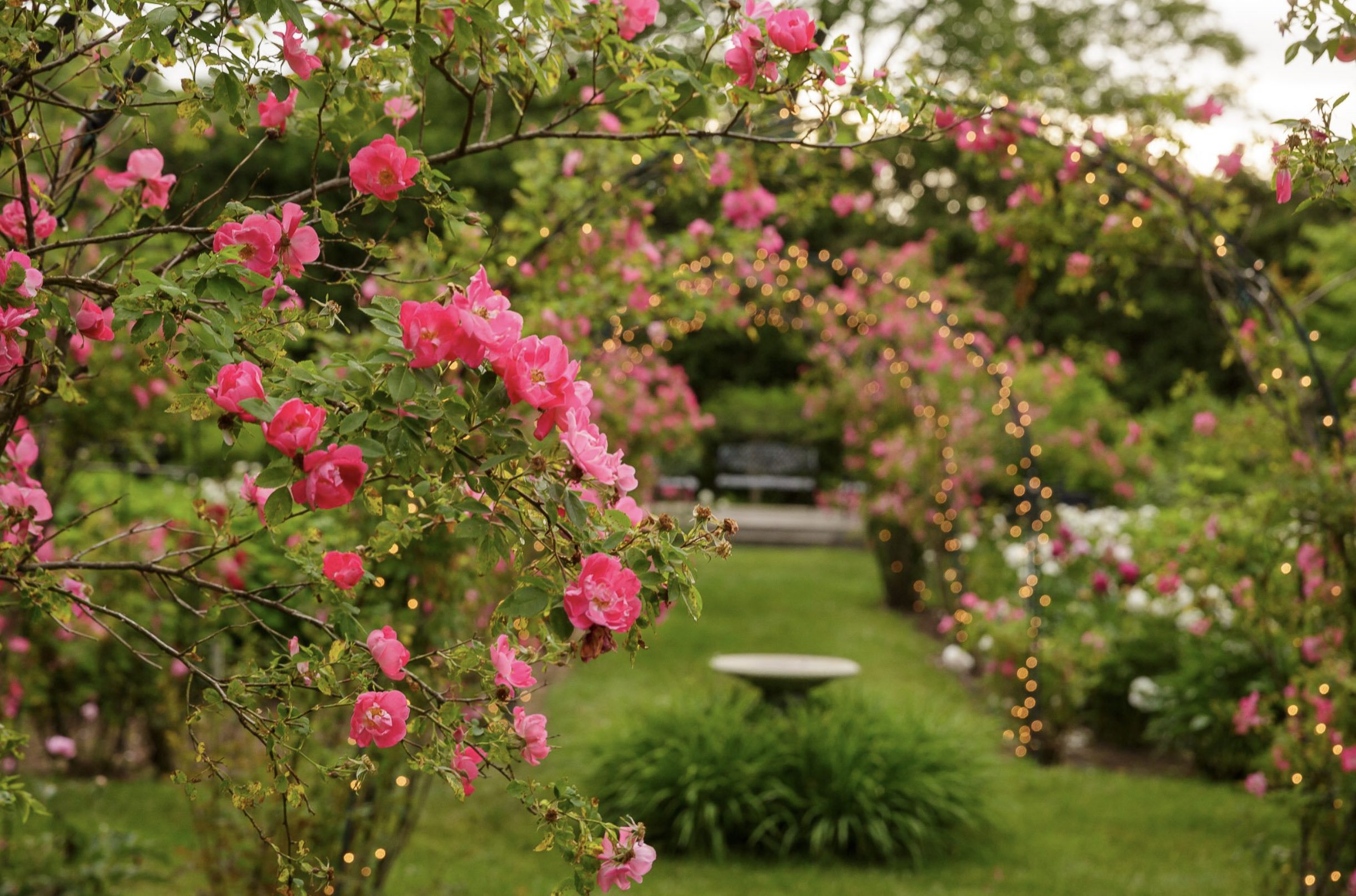 beautiful carriage housepng by Grace Haak?width=698&height=466&fit=crop&auto=webp&dpr=4