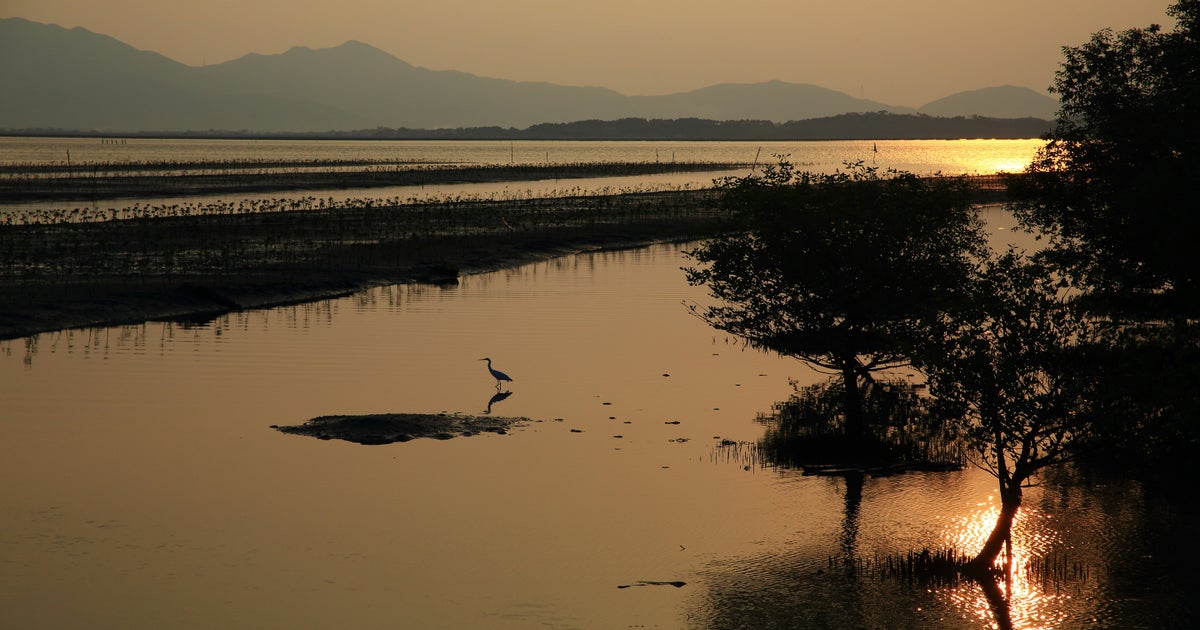 Florida Flood Insurance It's Even Worse Now