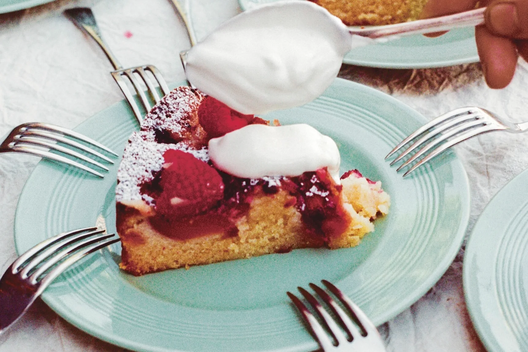 244 copy?width=1024&height=1024&fit=cover&auto=webp&dpr=4