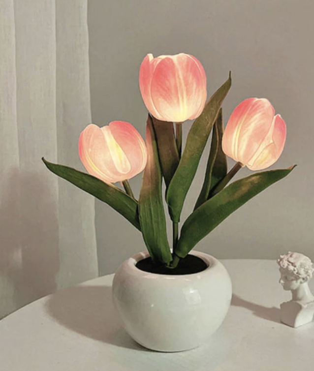 Screen Shot 2022 10 11 at 34443 PM?width=500&height=500&fit=cover&auto=webp&dpr=4