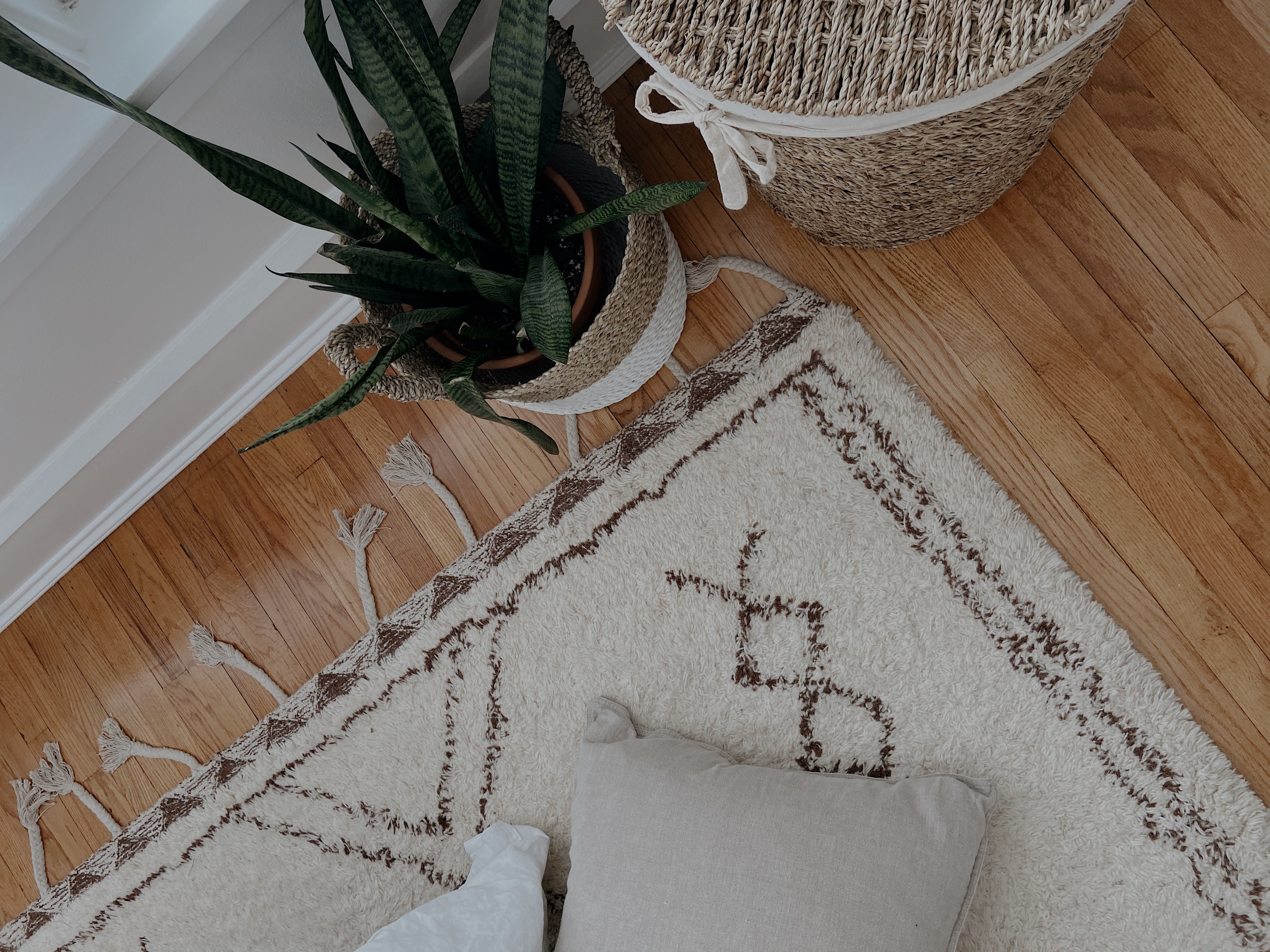 cleaning thrifted home items