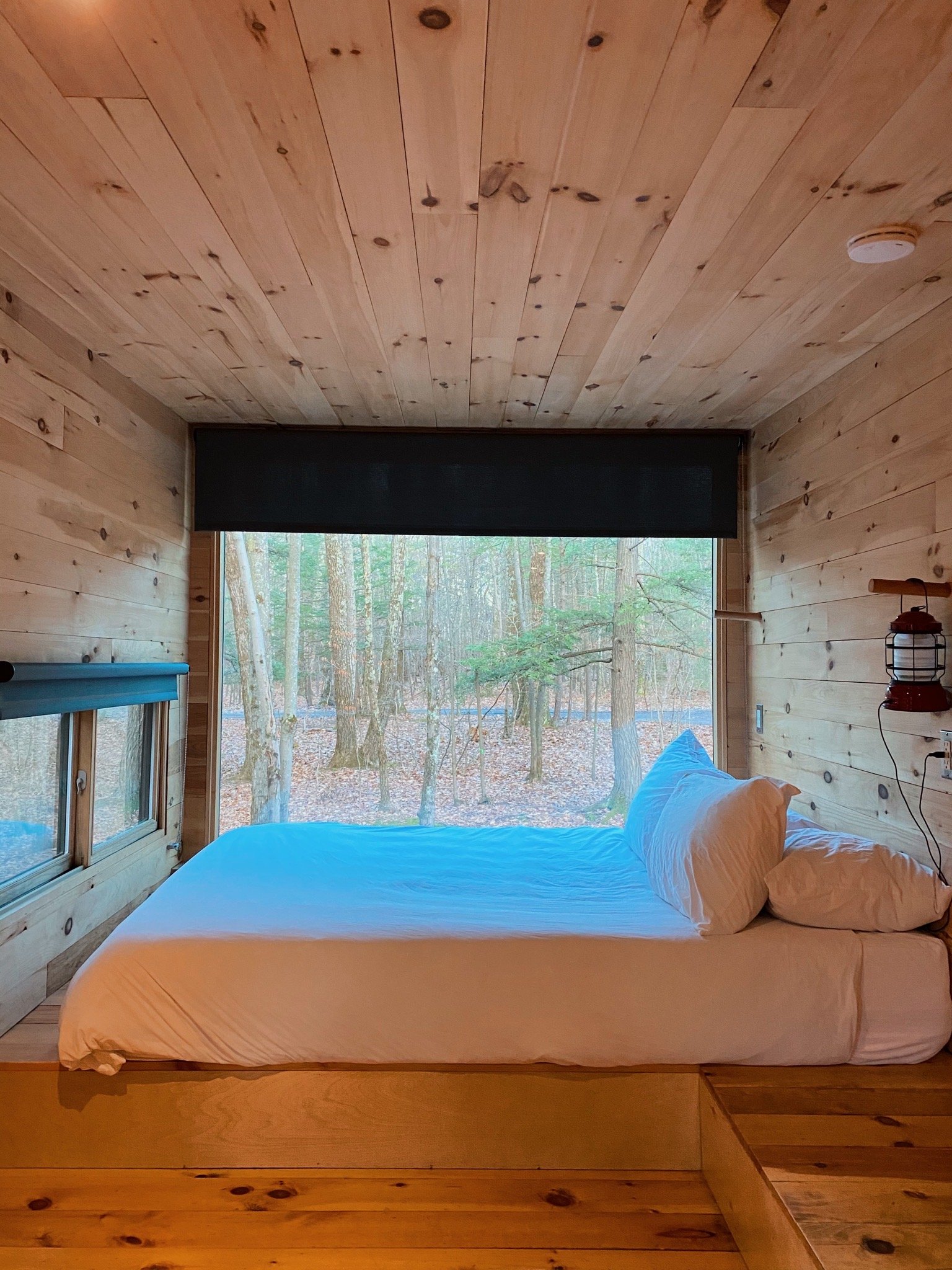 img 0396jpg by Maddie Savage?width=698&height=466&fit=crop&auto=webp&dpr=4