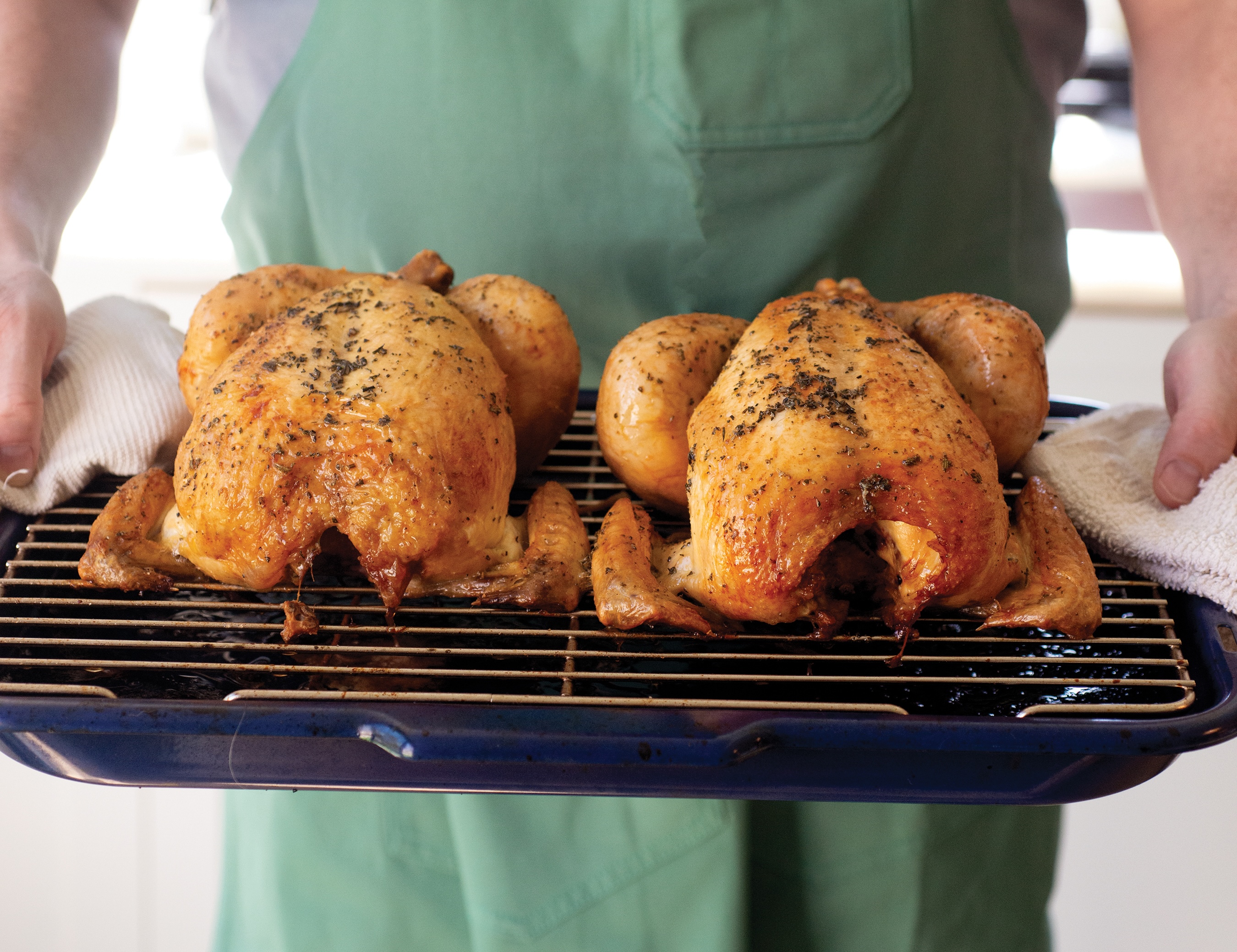 MHT0518 v2?width=698&height=466&fit=crop&auto=webp&dpr=4