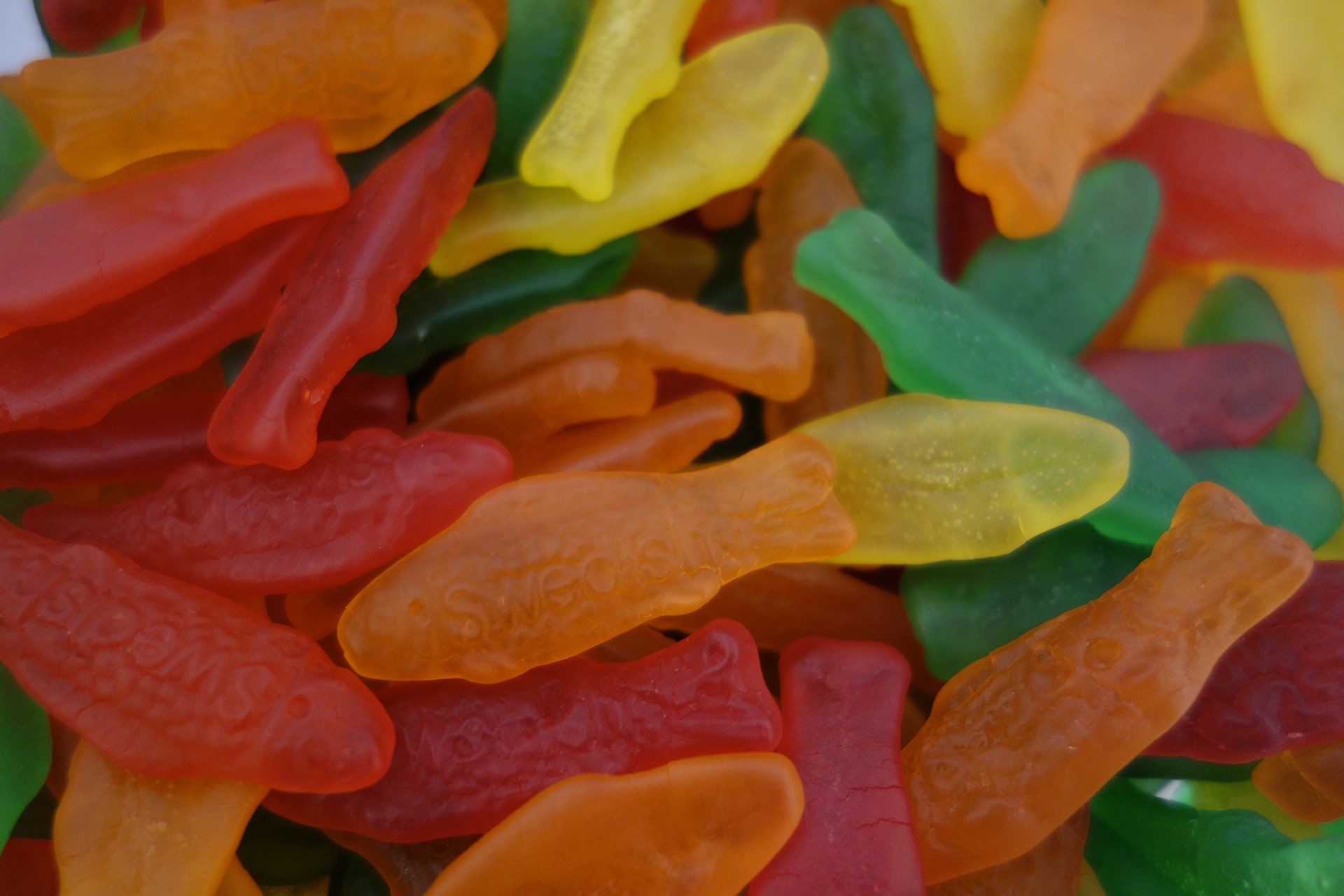 Swedish fish candy by kohnrebecca0
