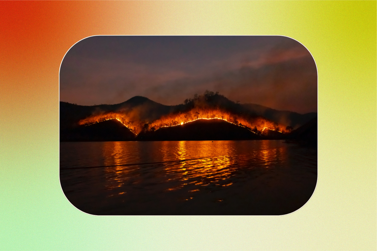 how to help maui wildfires donate