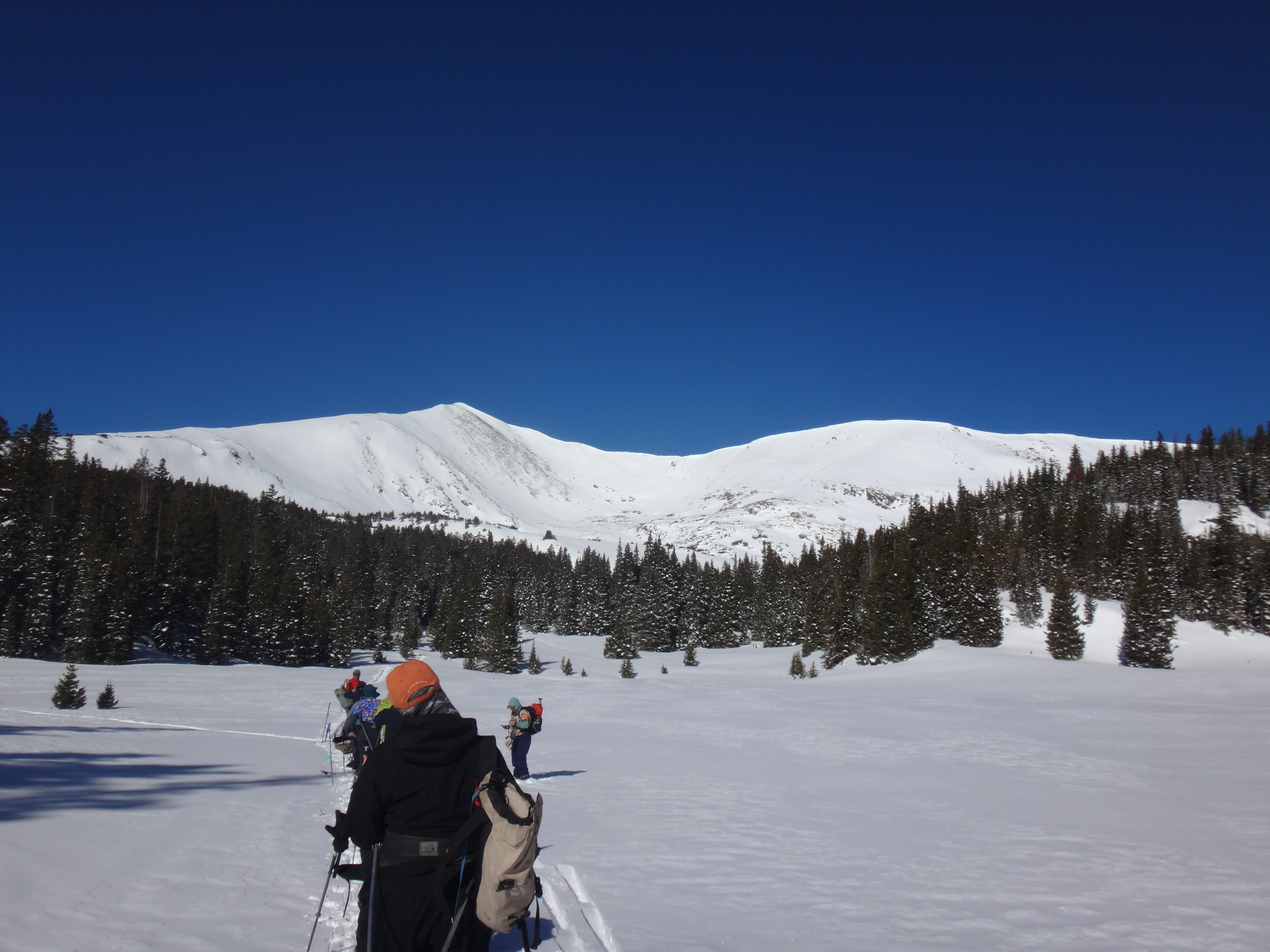 Mountains and trees of Colorado and people walking through