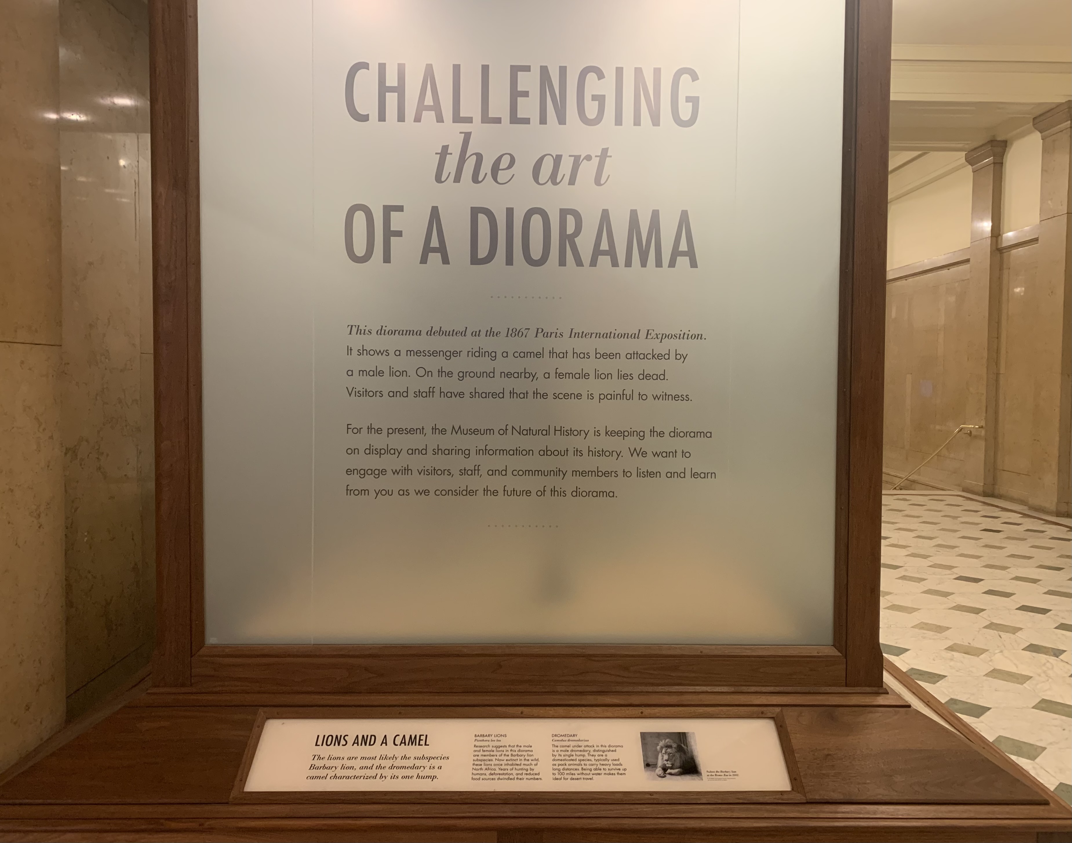 Carnegie Museum of Natural Science - Challenging the Art of a Diorama