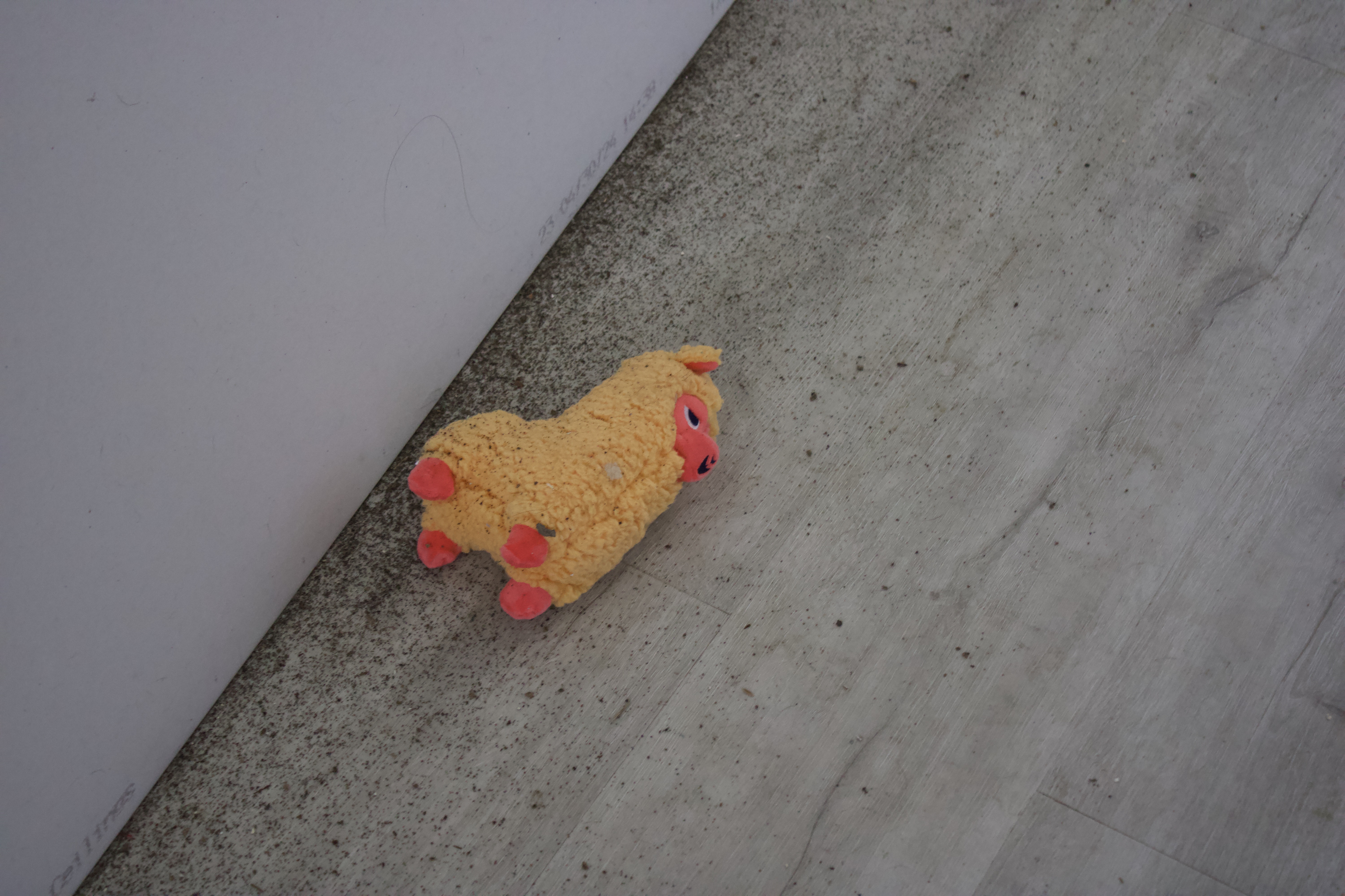 Stuffed animal after flood water with dirt