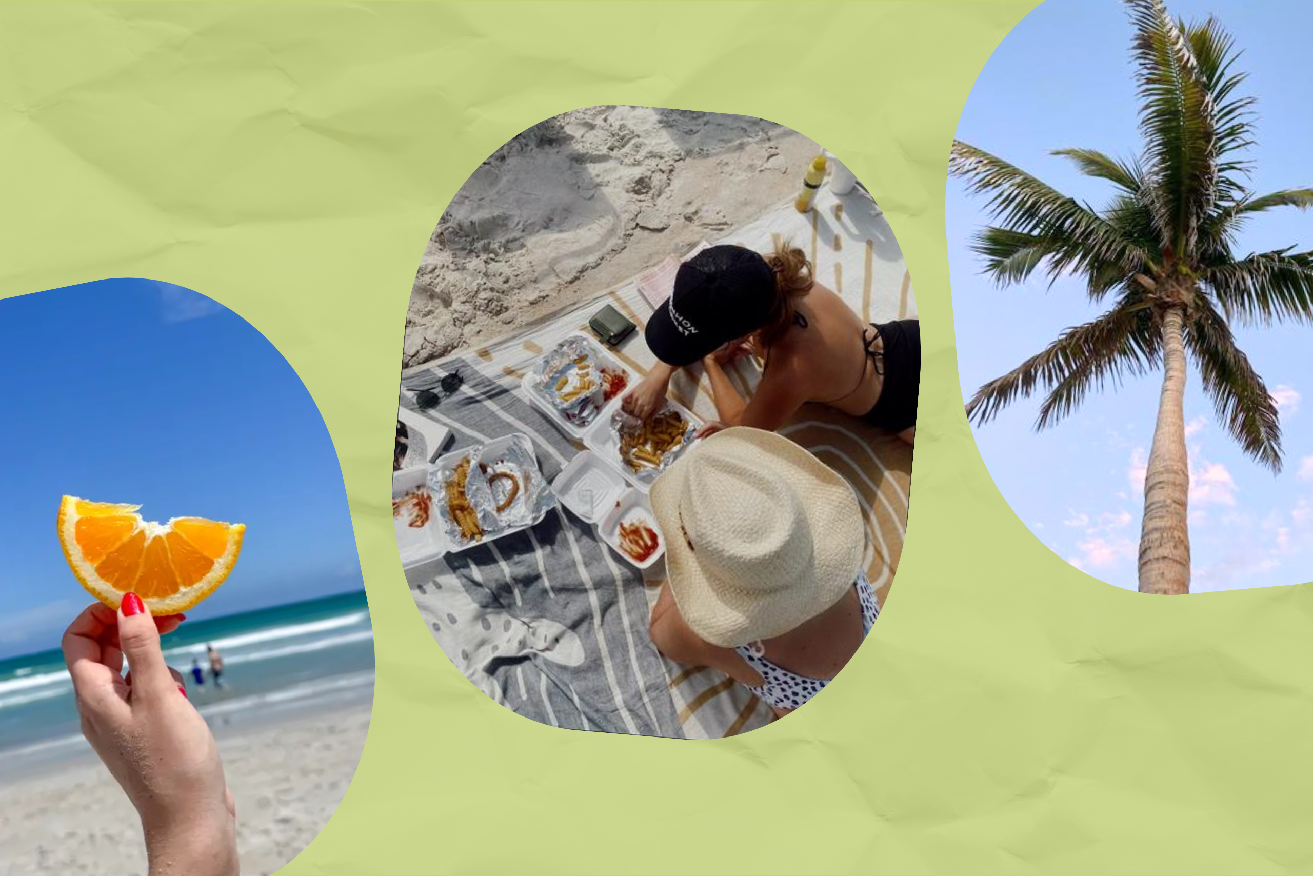 florida?width=698&height=466&fit=crop&auto=webp&dpr=4