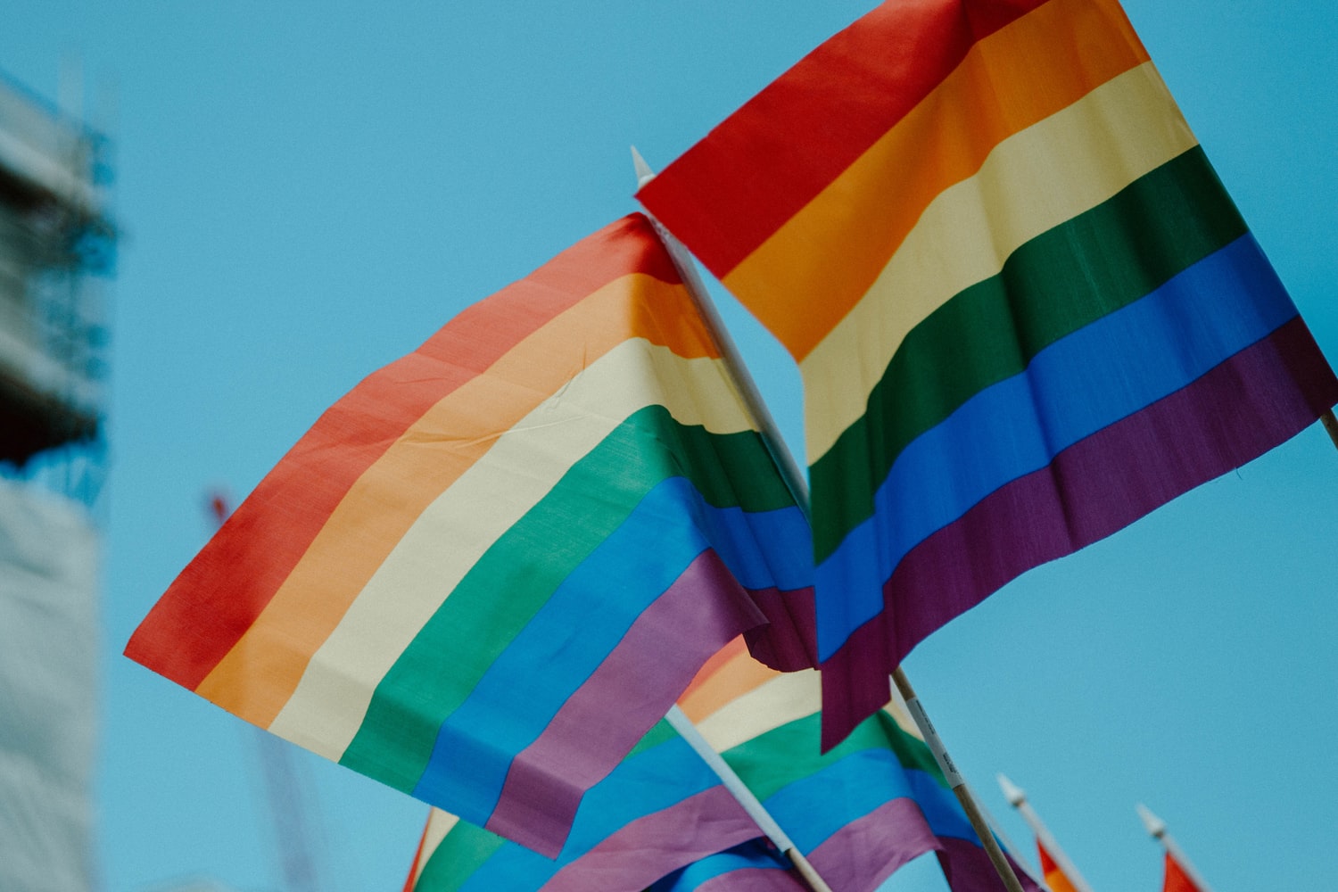 LGBT flags flying at a Pride march by Unsplash?width=698&height=466&fit=crop&auto=webp&dpr=4