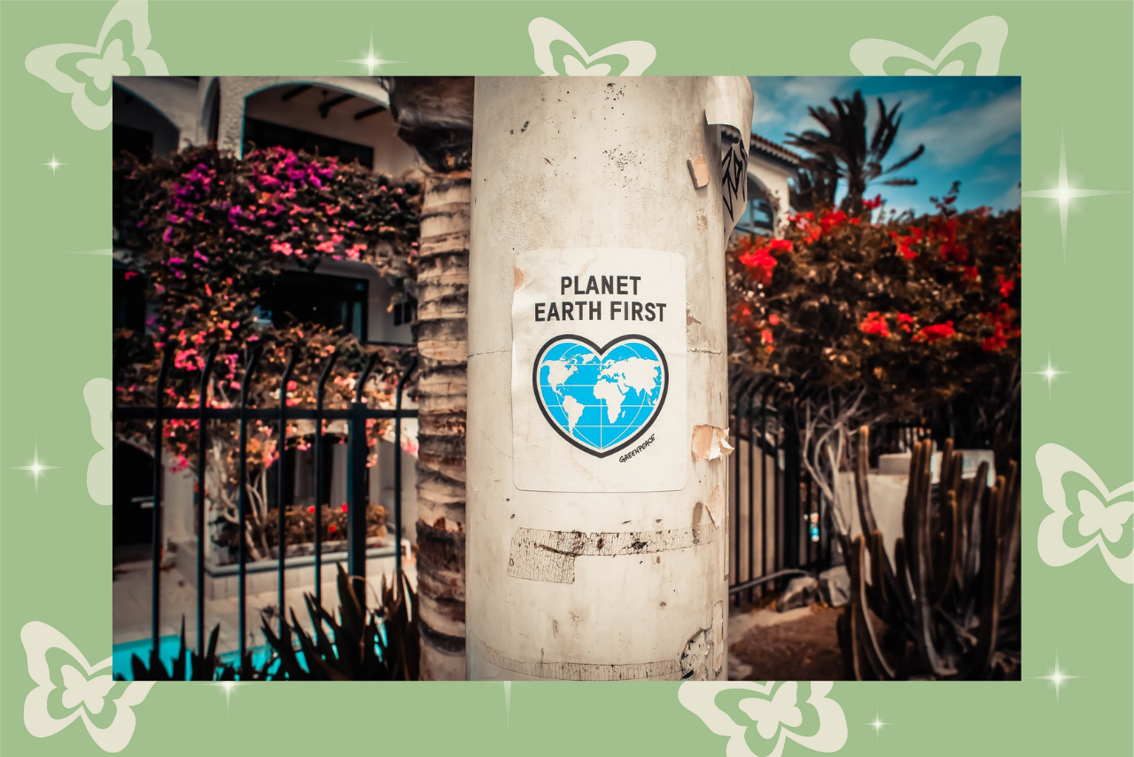 positive environment news?width=698&height=466&fit=crop&auto=webp&dpr=4