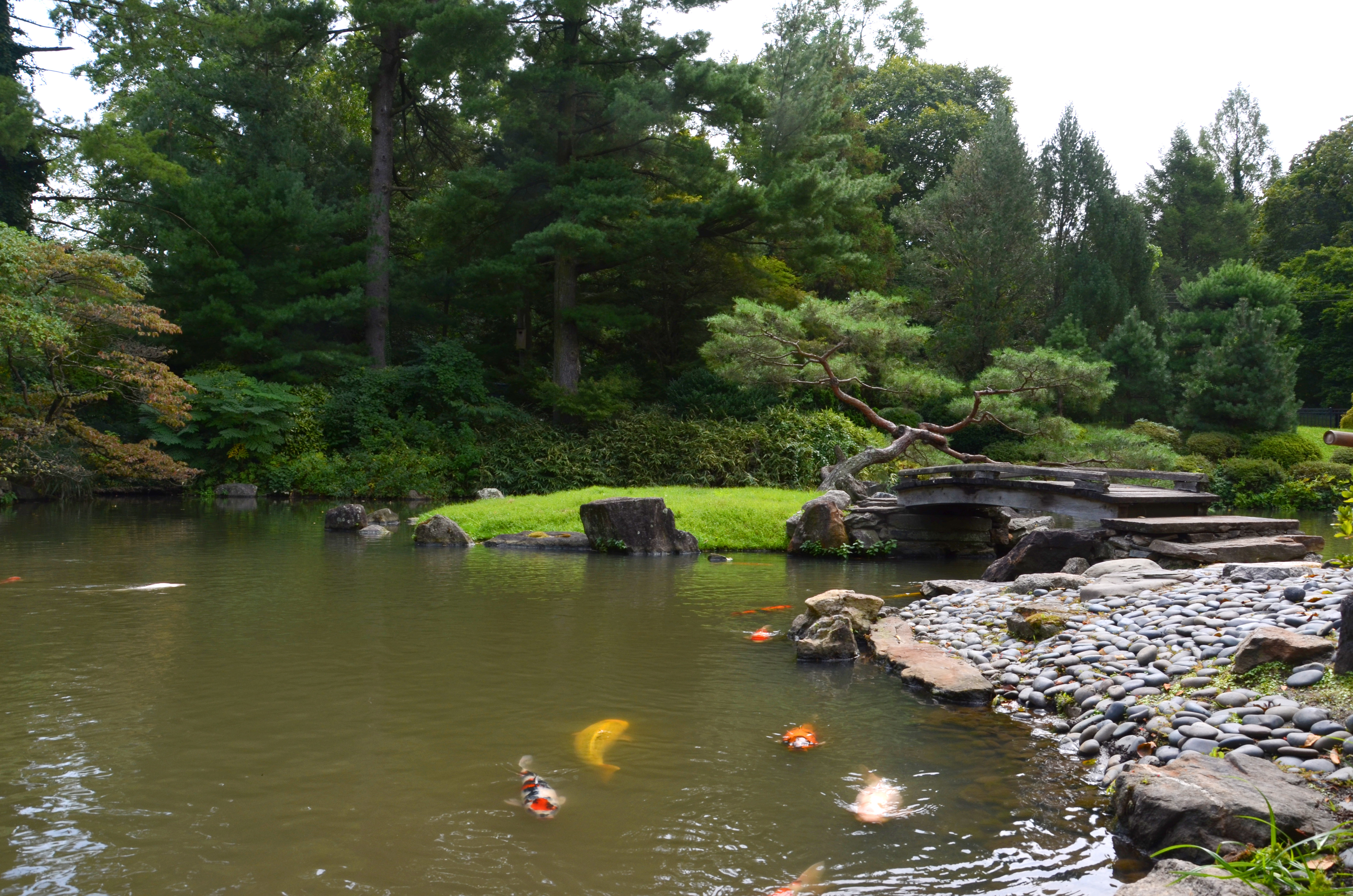 eprushanshofusojpg by Emma Prushan?width=698&height=466&fit=crop&auto=webp&dpr=4