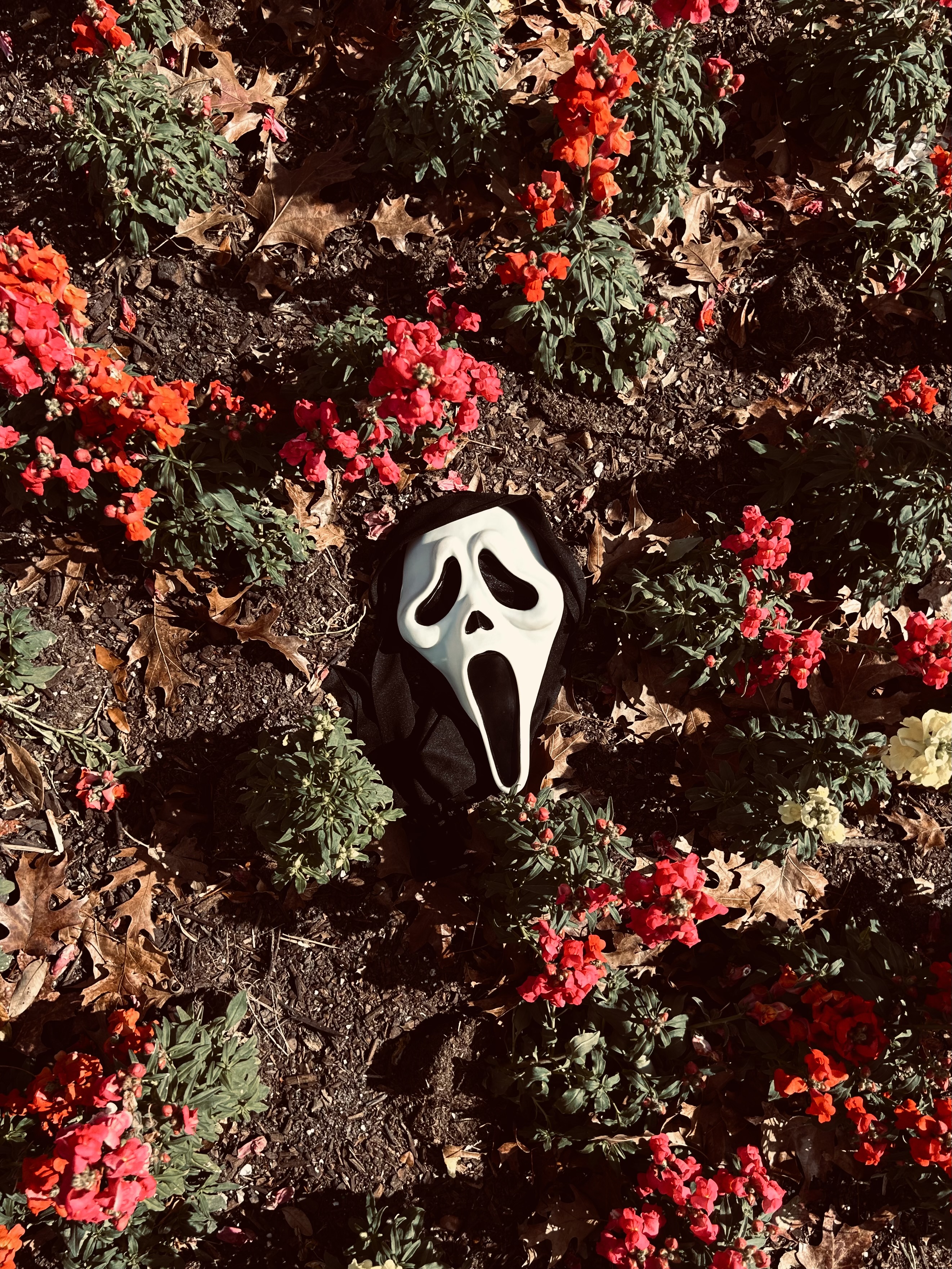 img 8064jpegjpg by Hannah Shoaf?width=698&height=466&fit=crop&auto=webp&dpr=4