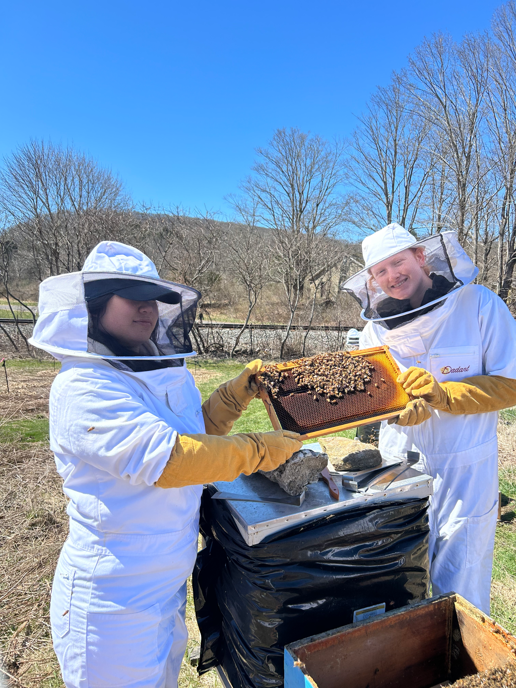Photo of UConn Beekeeping members posing with bees.